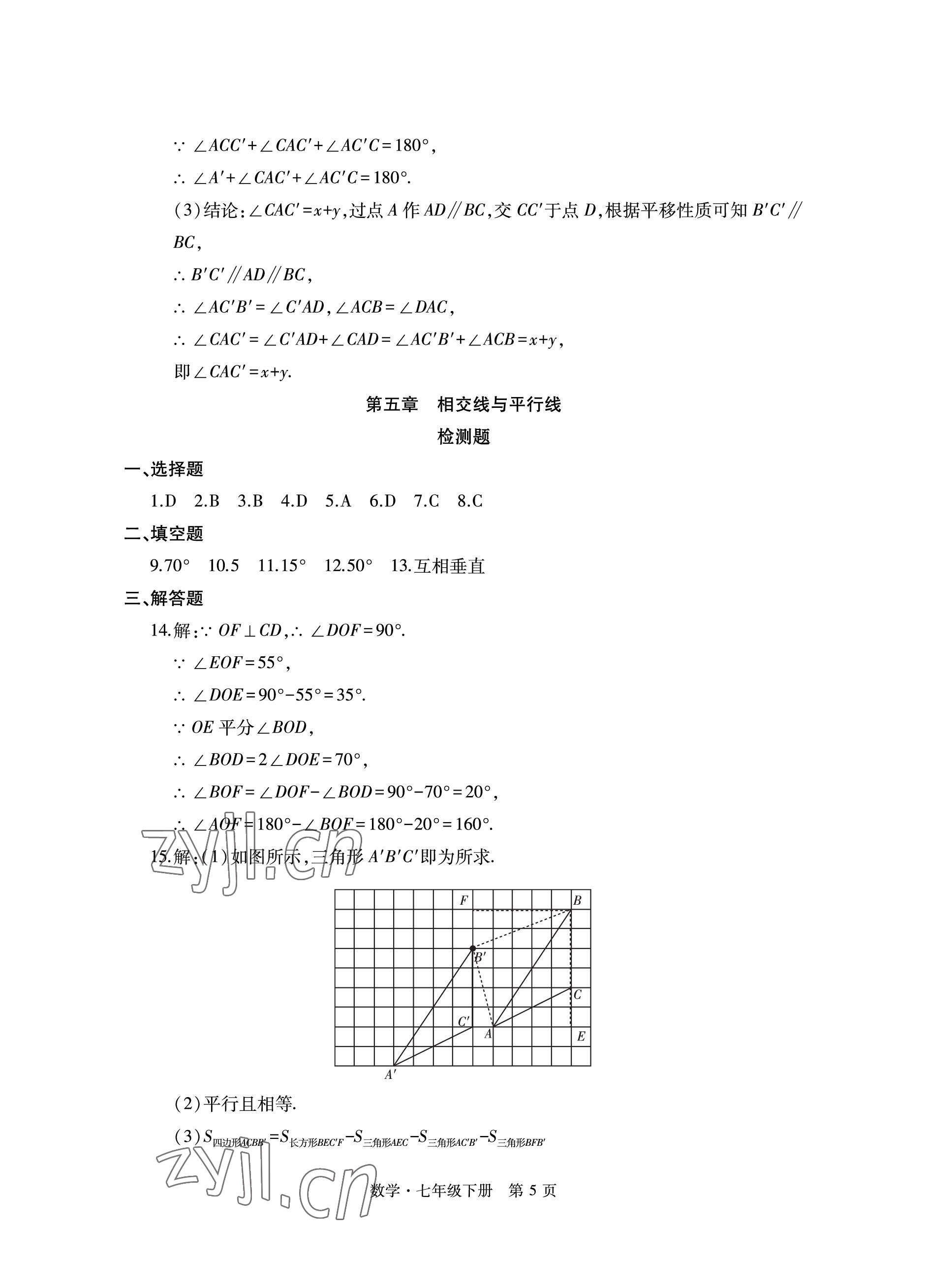 2023年初中同步练习册自主测试卷七年级数学下册人教版 参考答案第5页