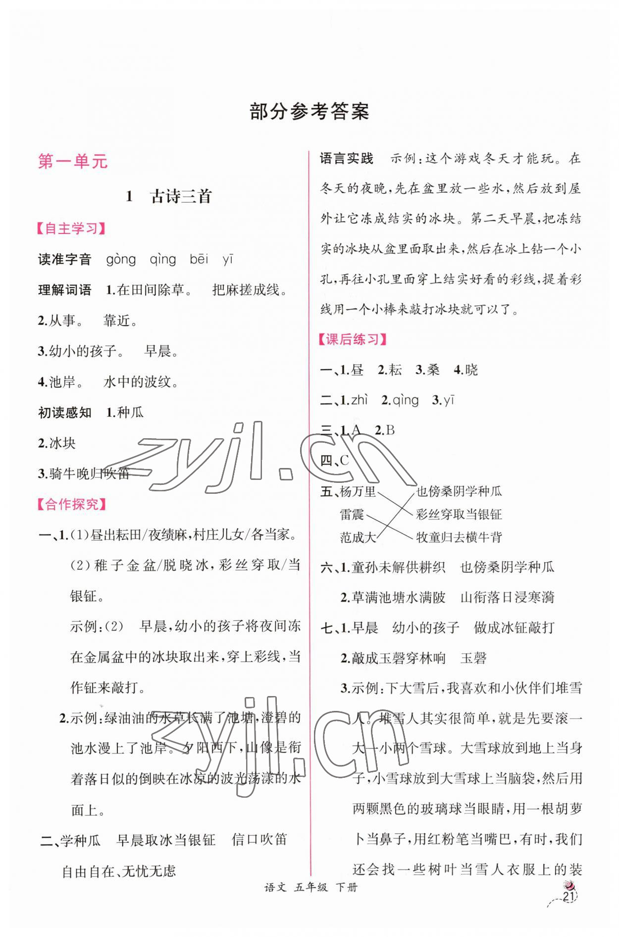 2023年同步導(dǎo)學(xué)案課時練五年級語文下冊人教版 第1頁