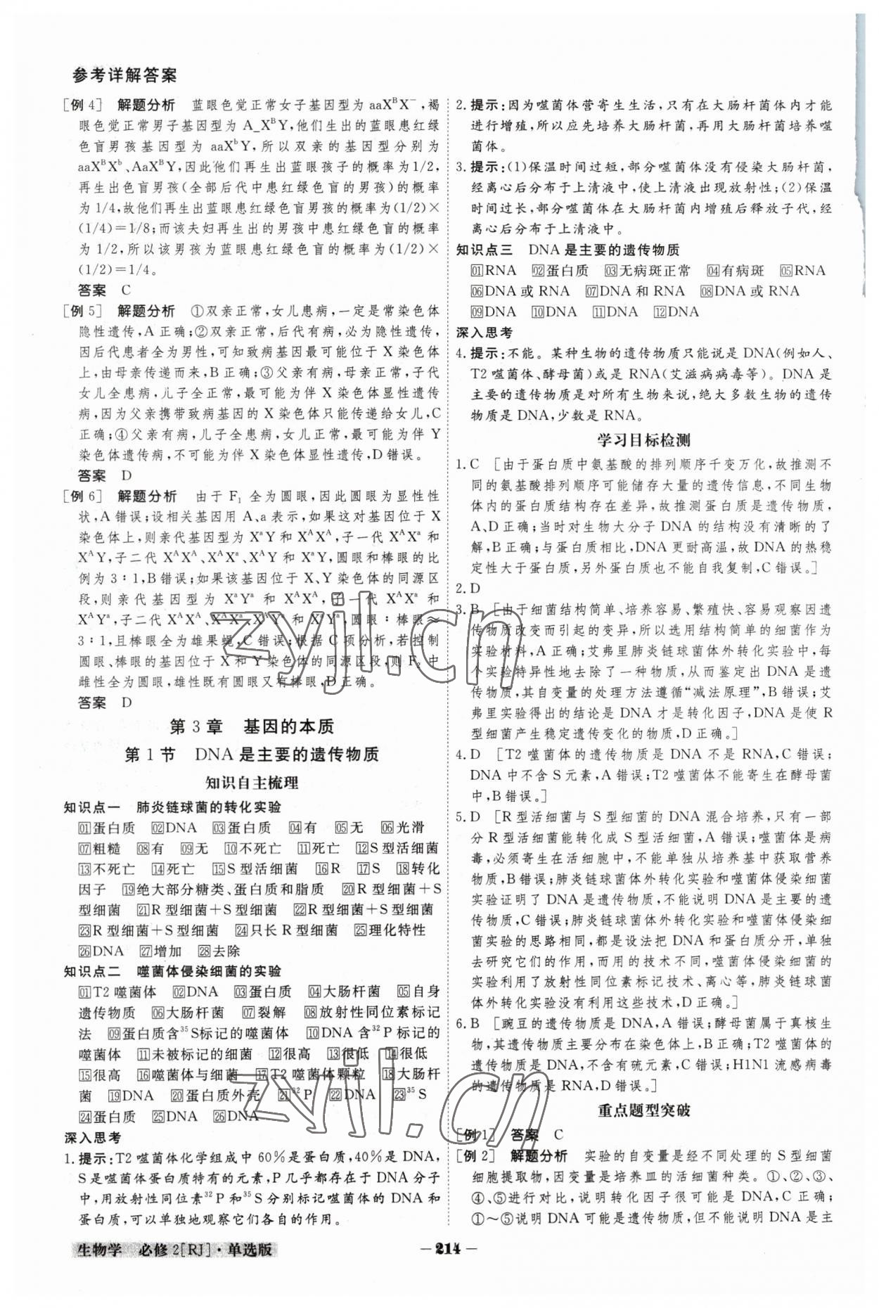 2023年金版教程高中新课程创新导学案高中生物必修2人教版 参考答案第11页