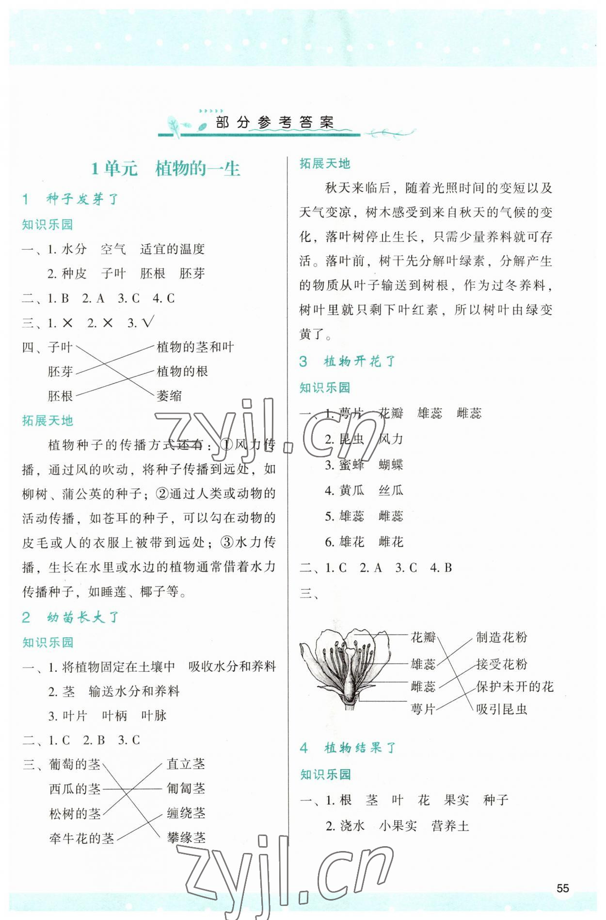 2023年新課程學(xué)習(xí)與評價三年級科學(xué)下冊蘇教版 第1頁