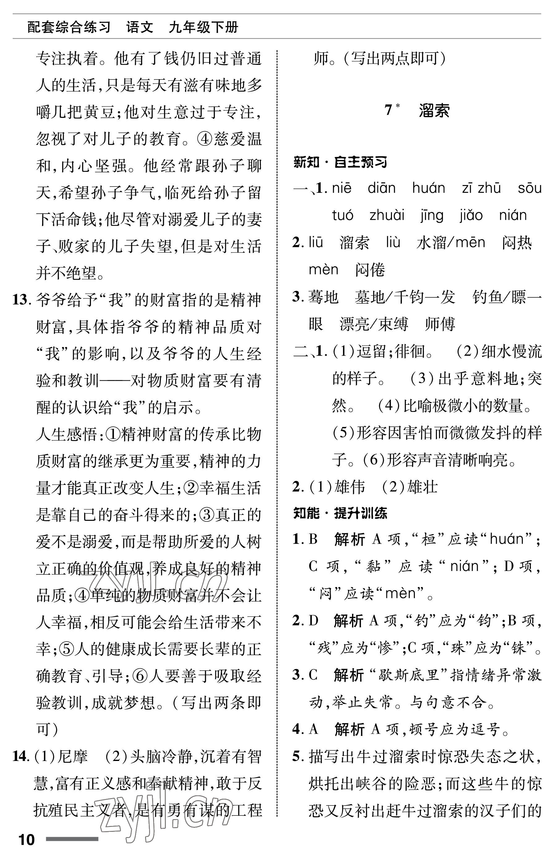 2023年配套综合练习甘肃九年级语文下册人教版 第10页
