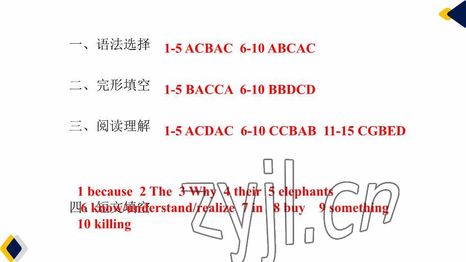 2023年基础知识同步训练10分钟七年级英语下册沪教版深圳专版 参考答案第51页