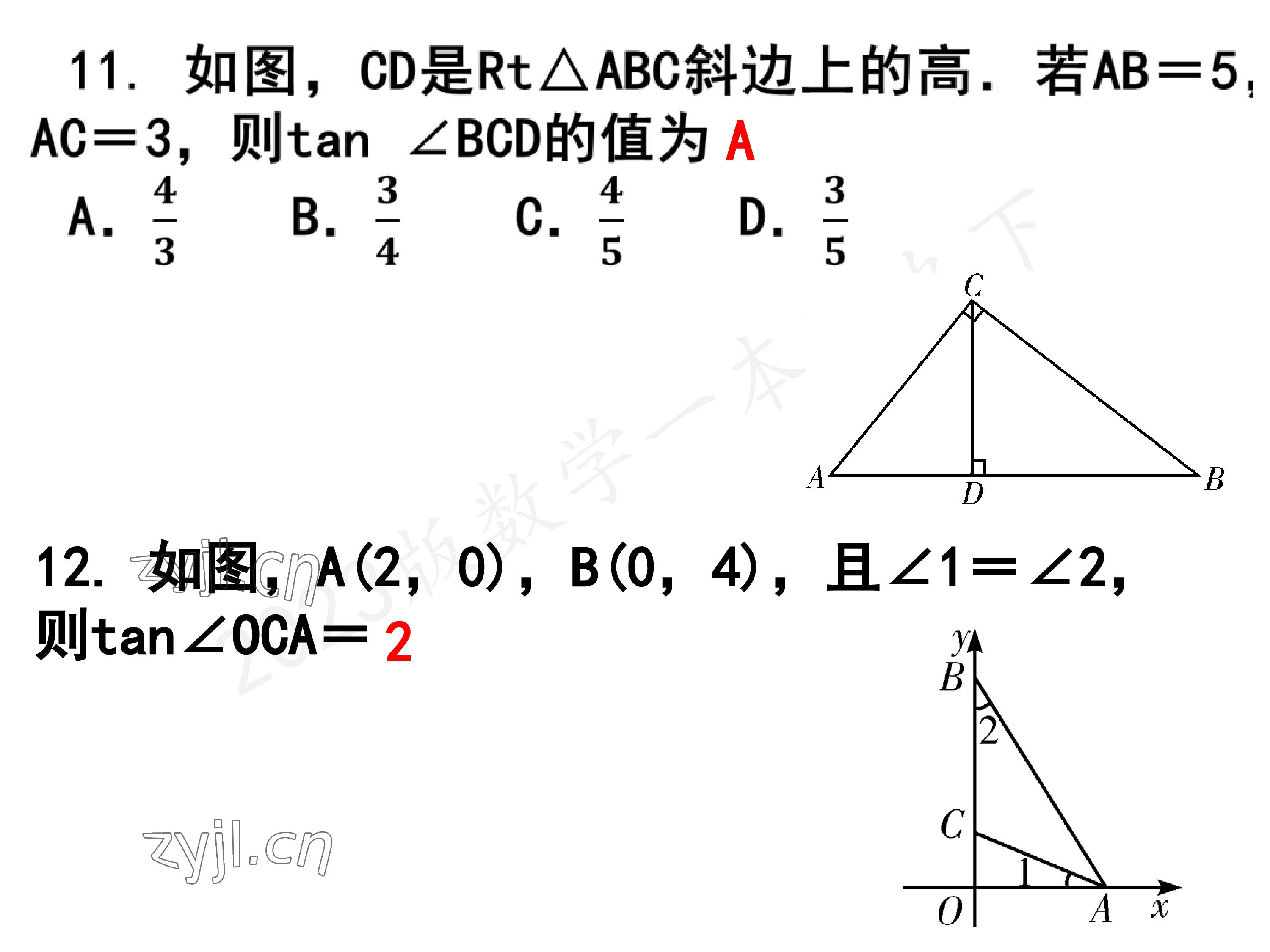 2023年一本通武漢出版社九年級(jí)數(shù)學(xué)下冊(cè)北師大版 參考答案第8頁(yè)