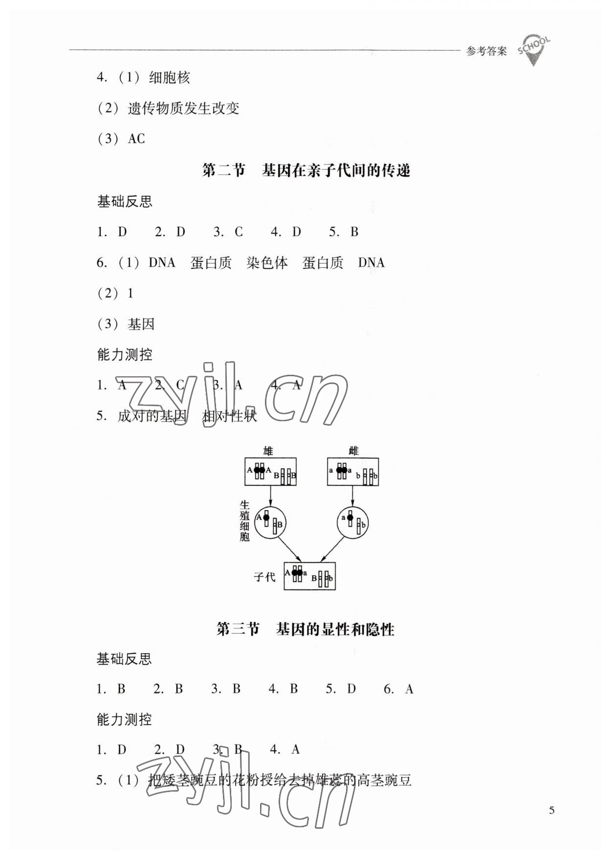 2023年新课程问题解决导学方案八年级生物下册人教版 参考答案第5页