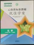 2023年云南省标准教辅优佳学案九年级化学下册人教版