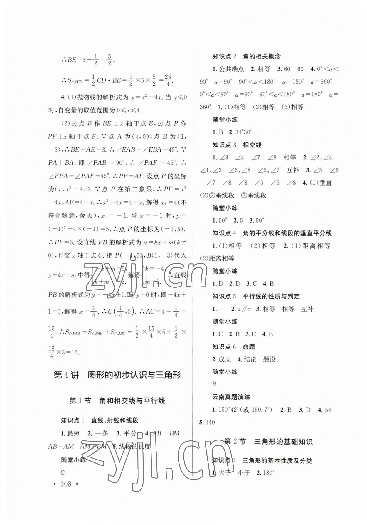 2023年云南省初中學業(yè)水平考試總復習及測試數(shù)學 參考答案第10頁