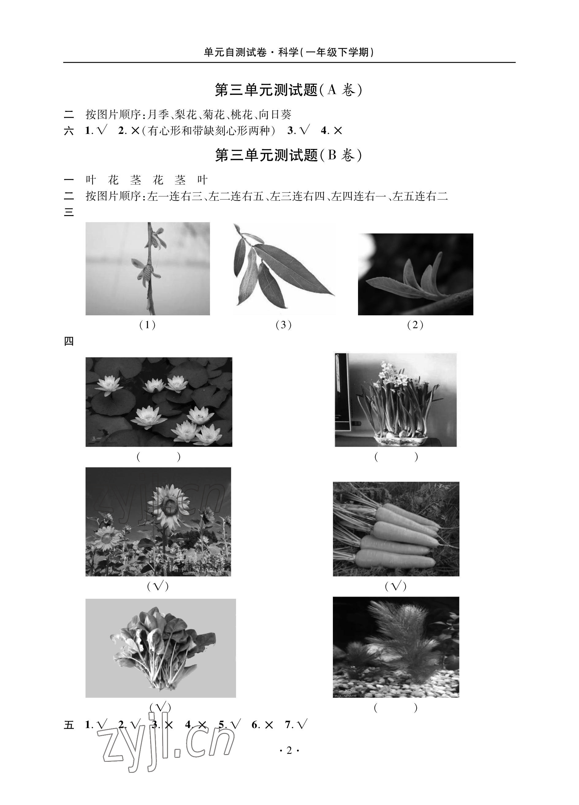 2023年单元自测试卷青岛出版社一年级科学下学期青岛版 参考答案第2页