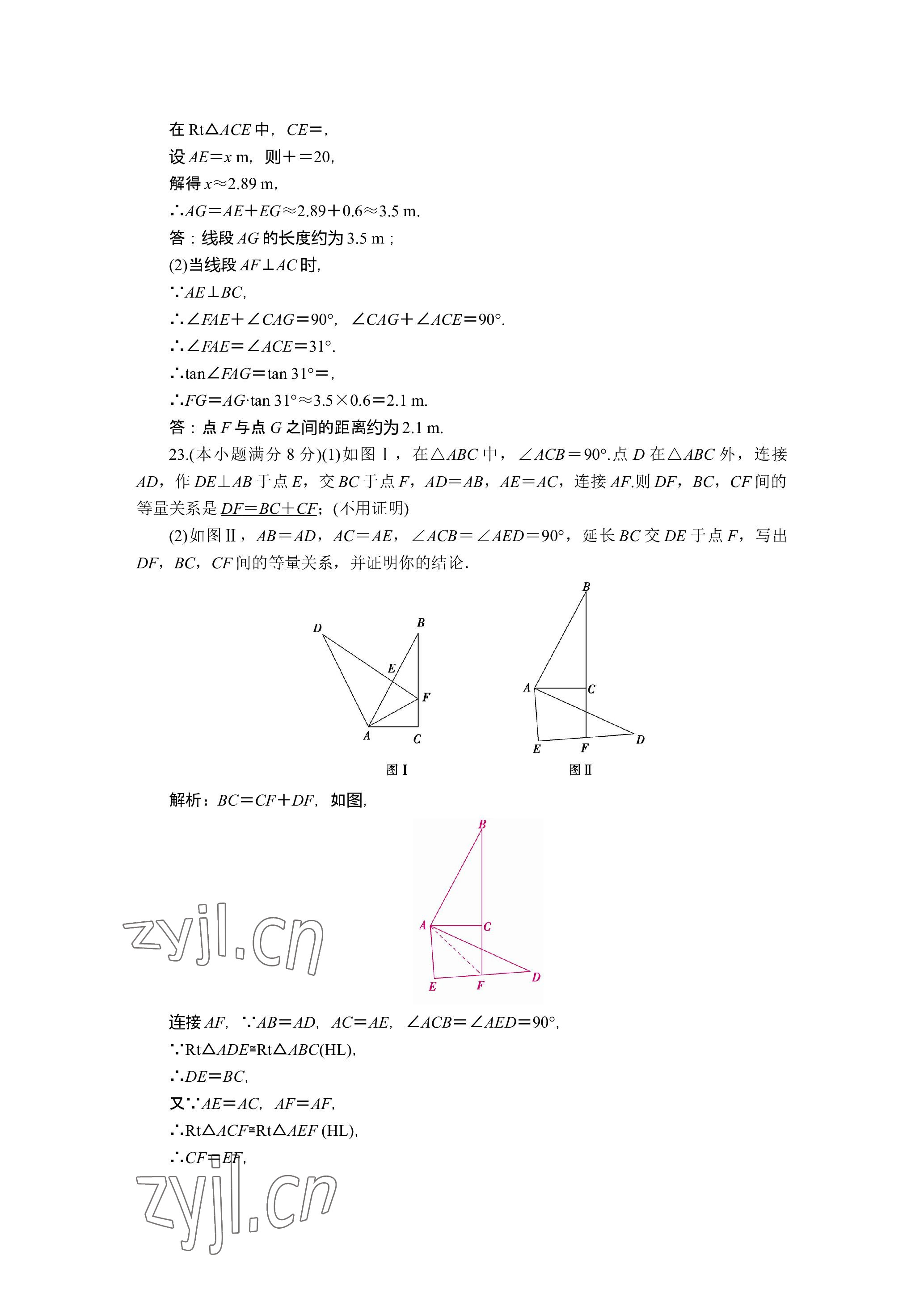 2023年晨光全优同步指导训练与检测数学 参考答案第19页