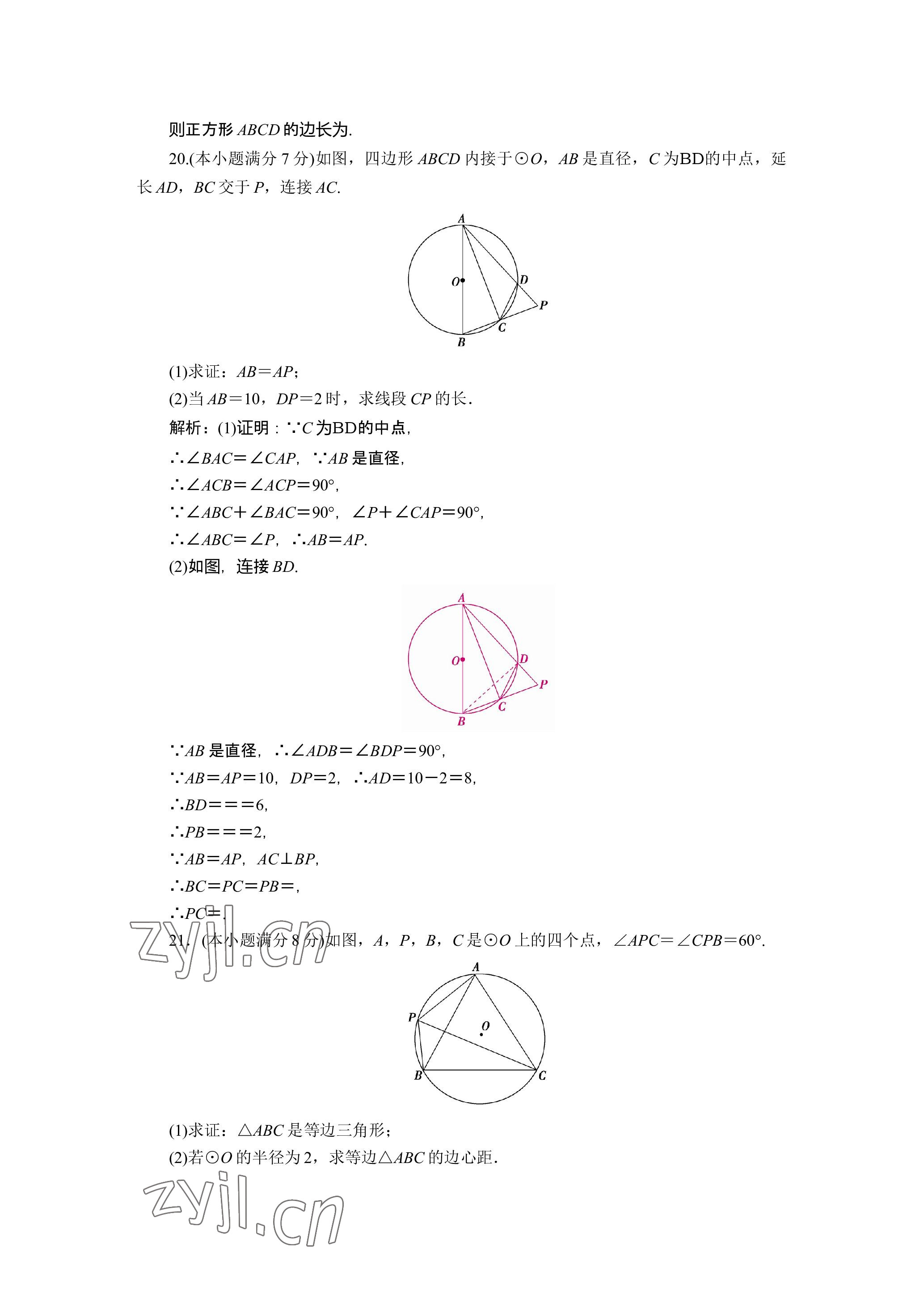 2023年晨光全优同步指导训练与检测数学 参考答案第32页