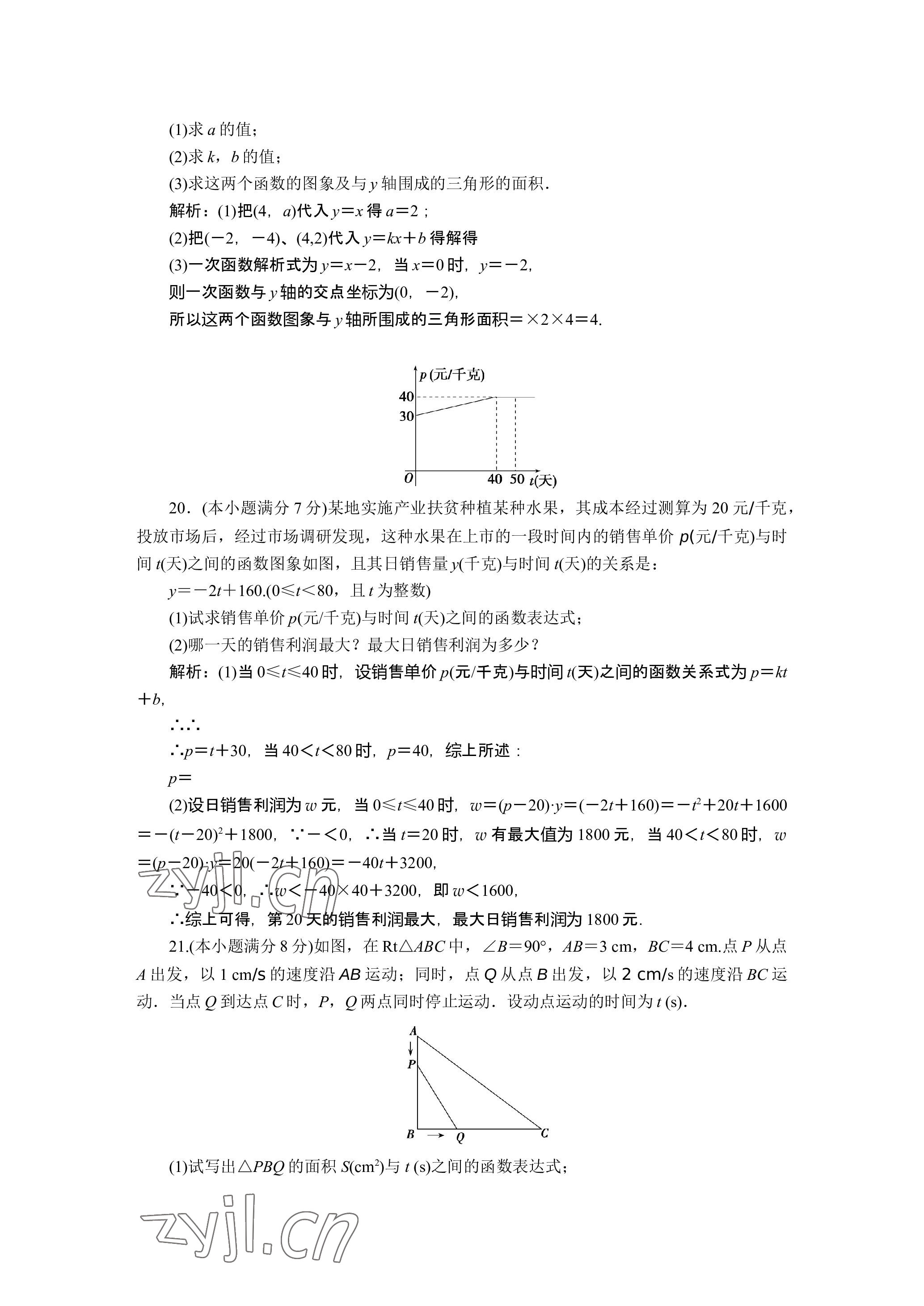 2023年晨光全优同步指导训练与检测数学 参考答案第11页