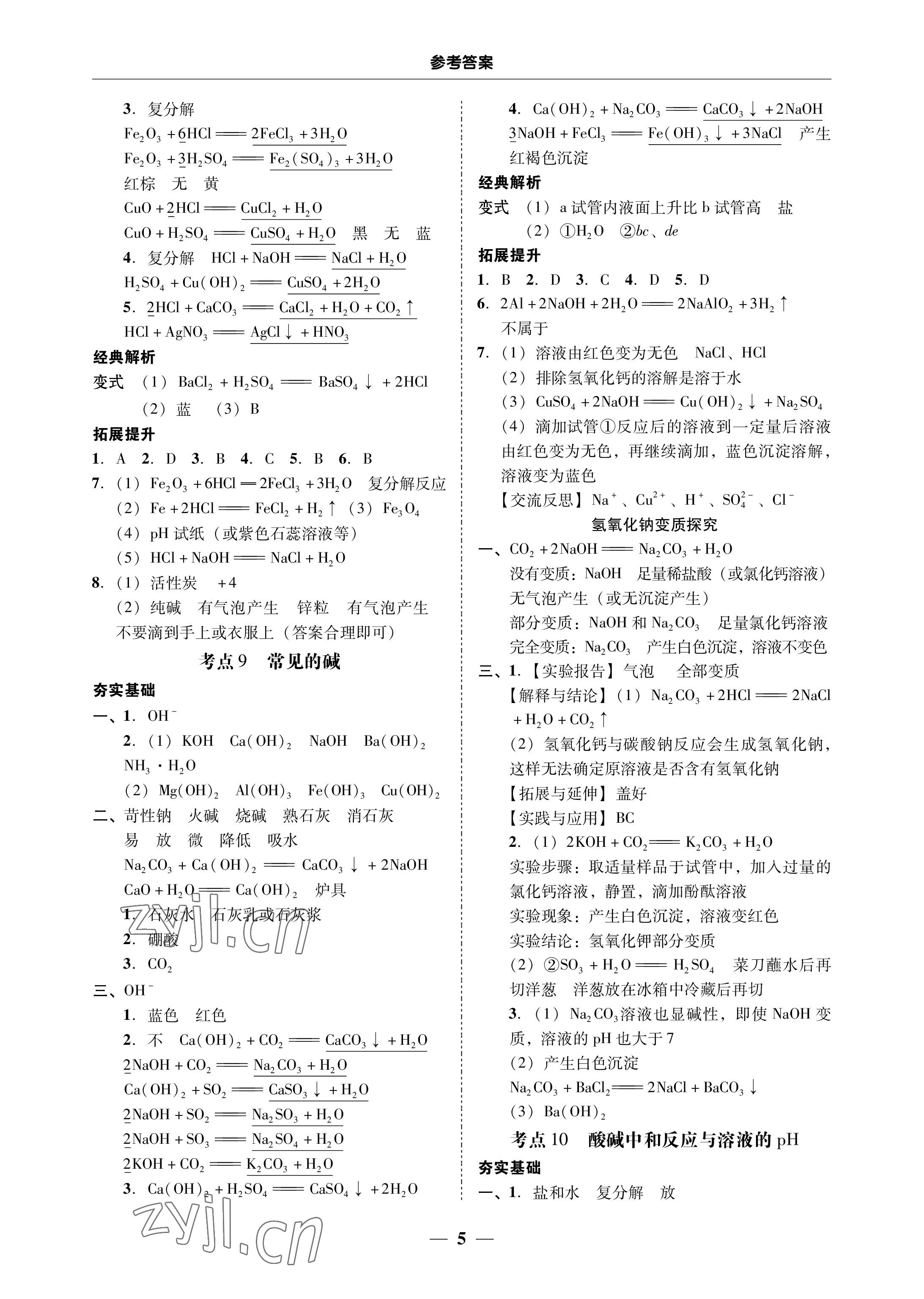 2023年南粤学典中考解读化学 参考答案第5页