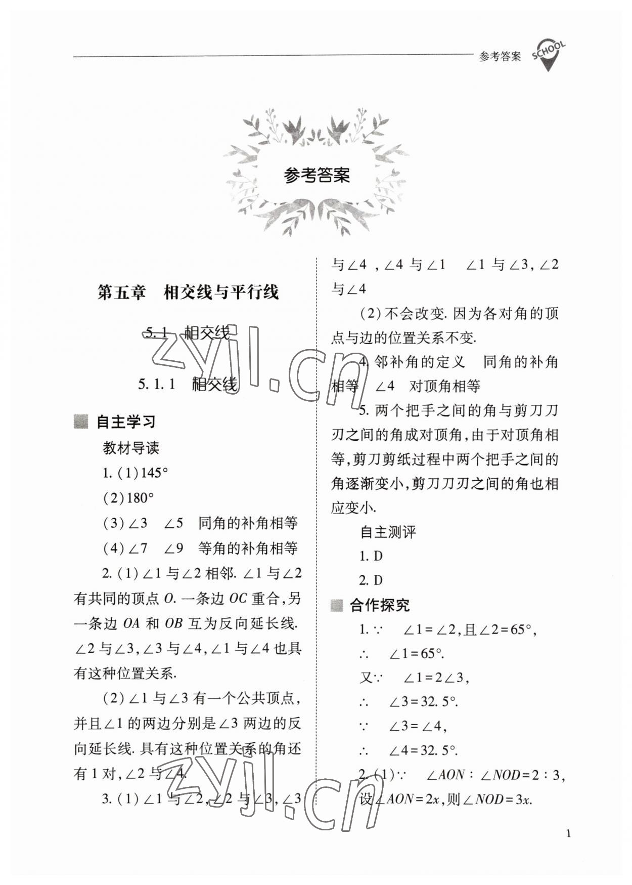 2023年新课程问题解决导学方案七年级数学下册人教版 参考答案第1页