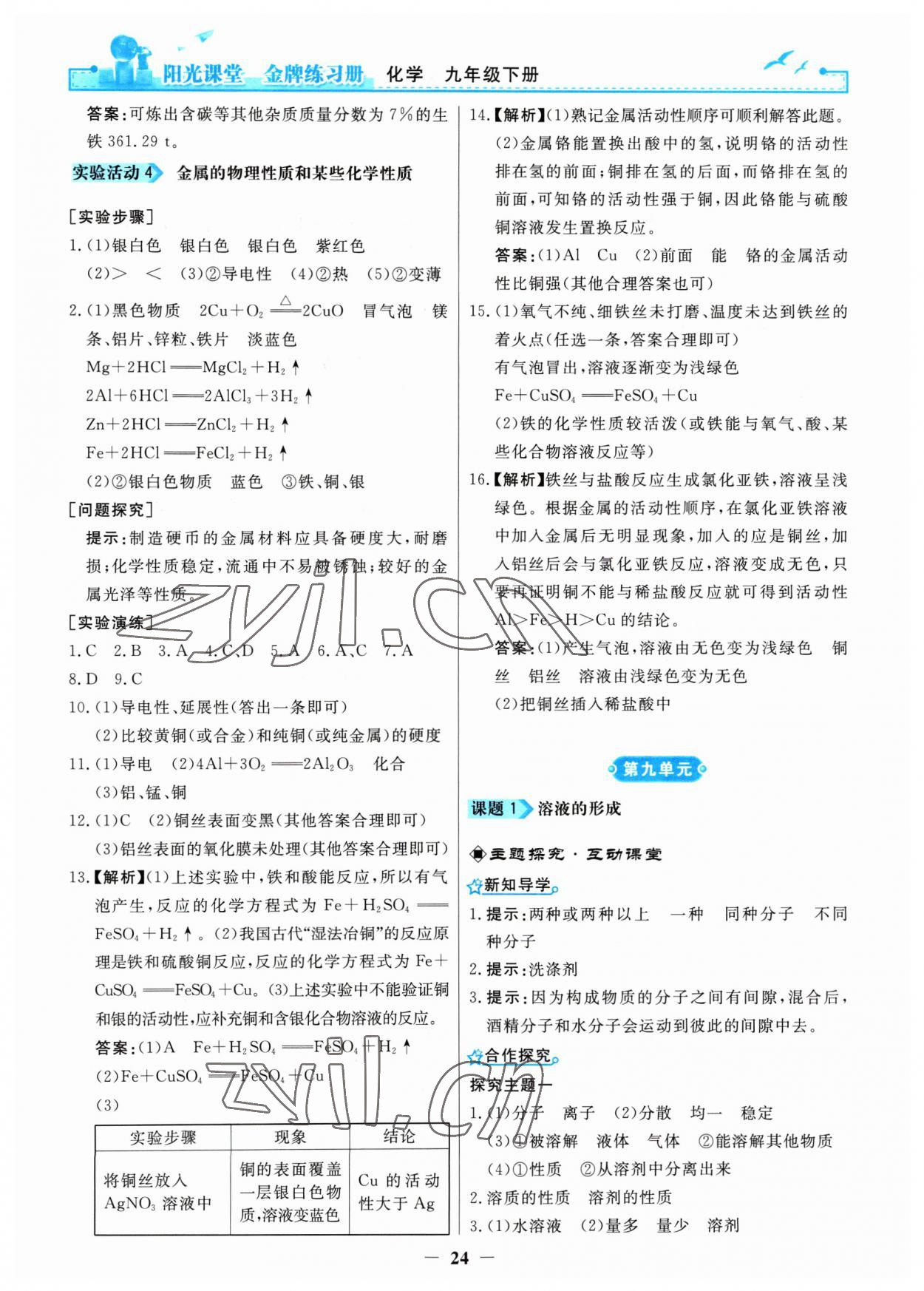 2023年阳光课堂金牌练习册九年级化学下册人教版 第4页