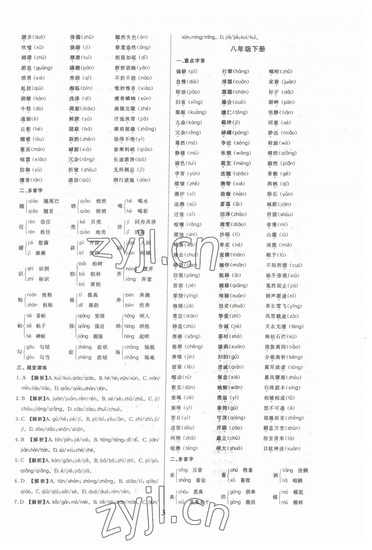 2023年一本到位语文中考广州专版 第3页
