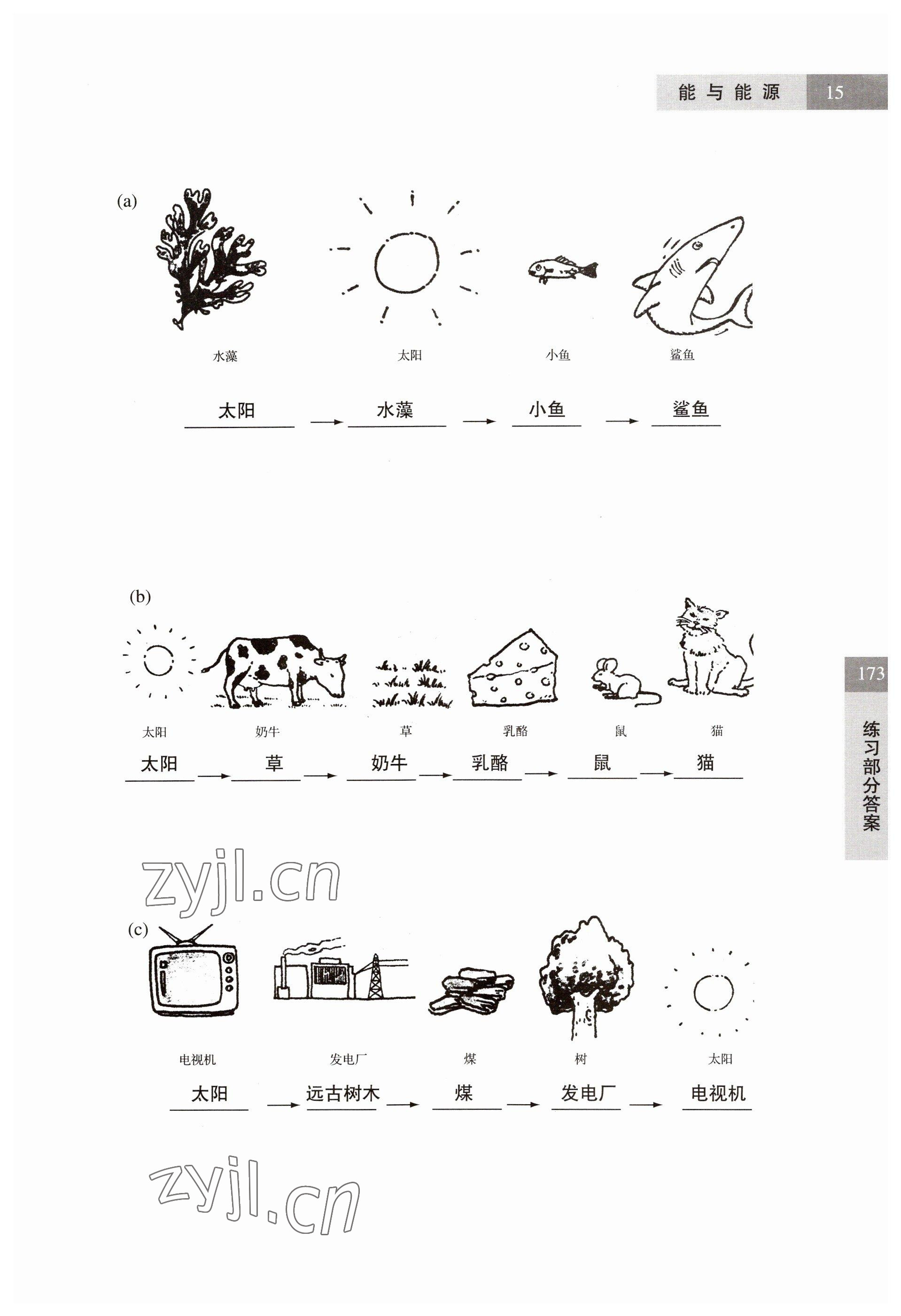 2023年練習部分六年級科學第二學期滬教版54制 參考答案第15頁