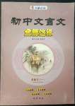 2023年初中文言文全能达标九年级语文下册人教版