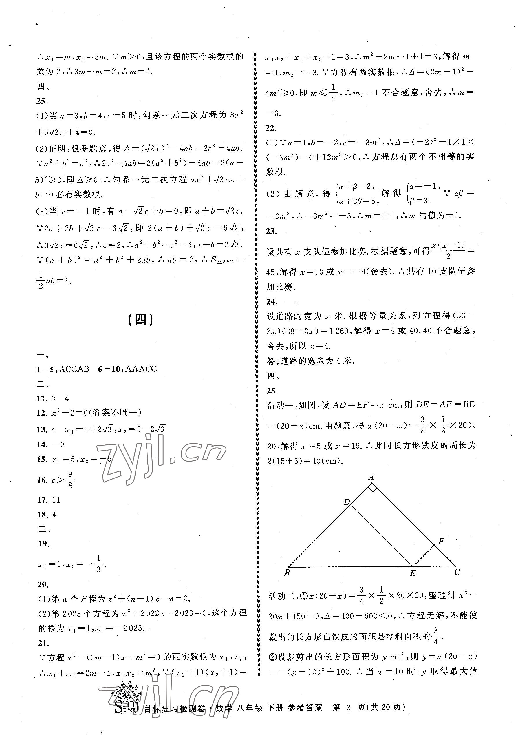 2023年目標復習檢測卷八年級數(shù)學下冊浙教版 參考答案第3頁