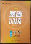 2023年同步实践评价课程基础训练九年级化学下册人教版