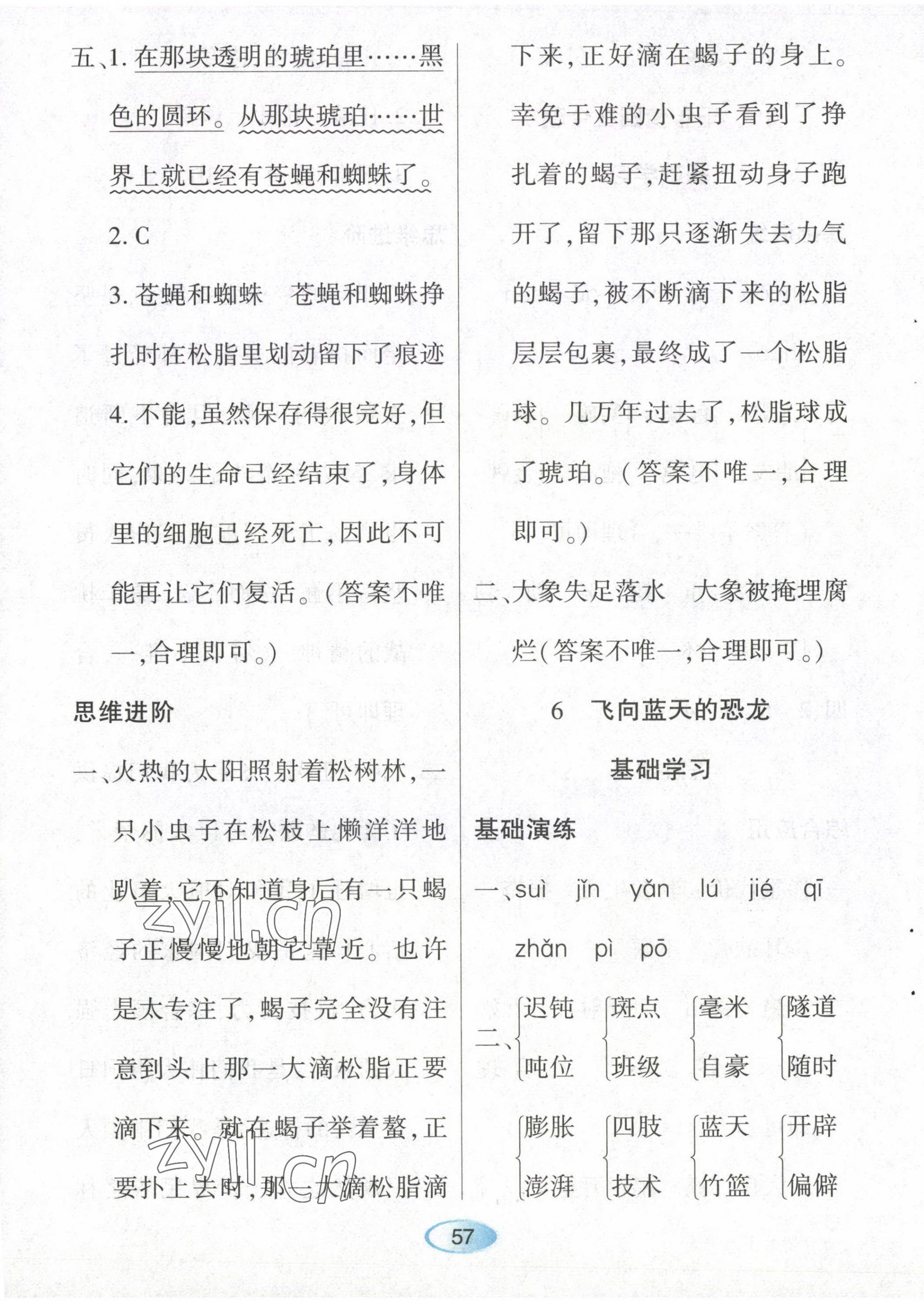 2023年资源与评价黑龙江教育出版社四年级语文下册人教版 第7页