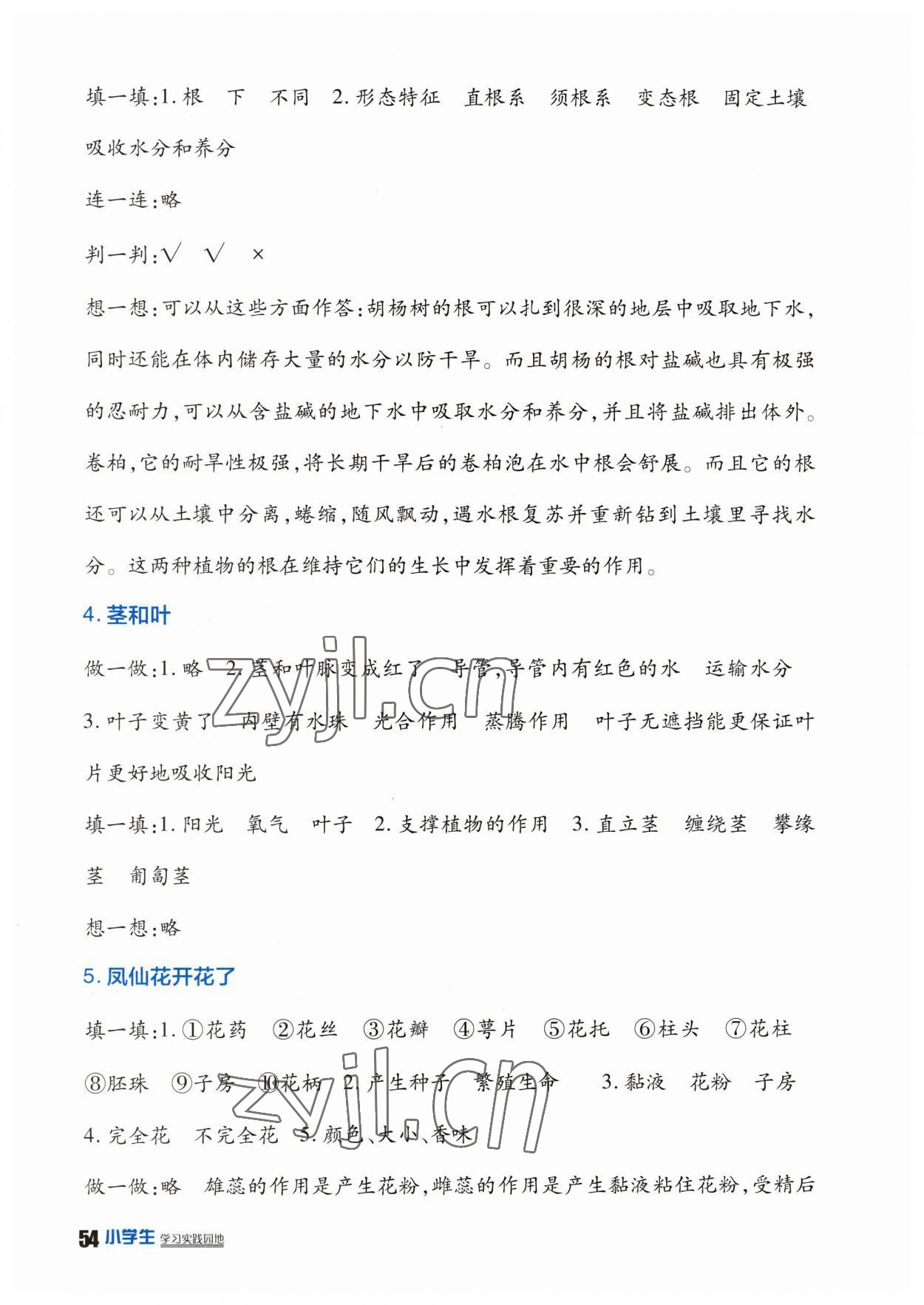 2023年學(xué)習(xí)實(shí)踐園地四年級(jí)科學(xué)下冊(cè)教科版 第2頁