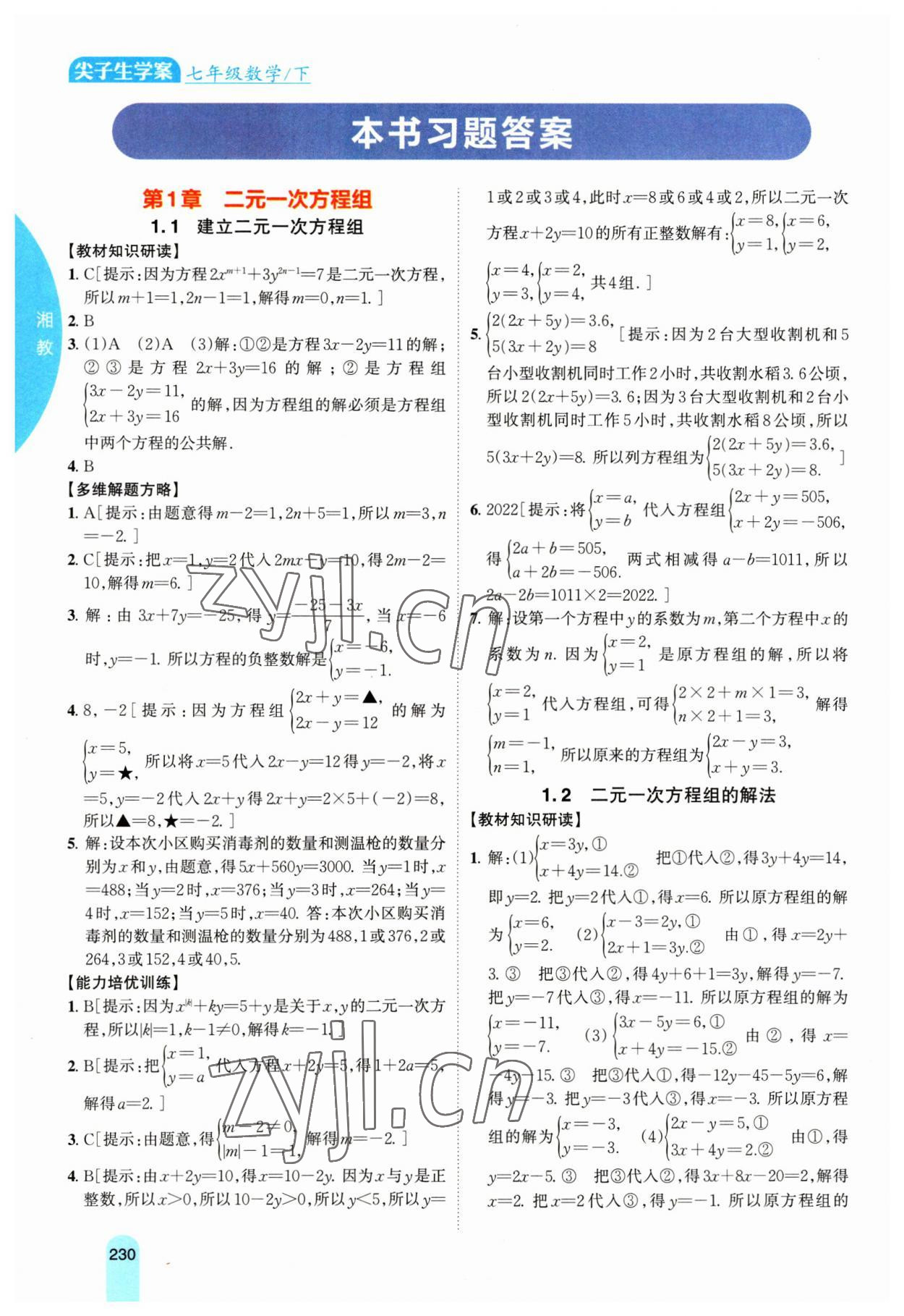 2023年尖子生学案七年级数学下册湘教版 第1页