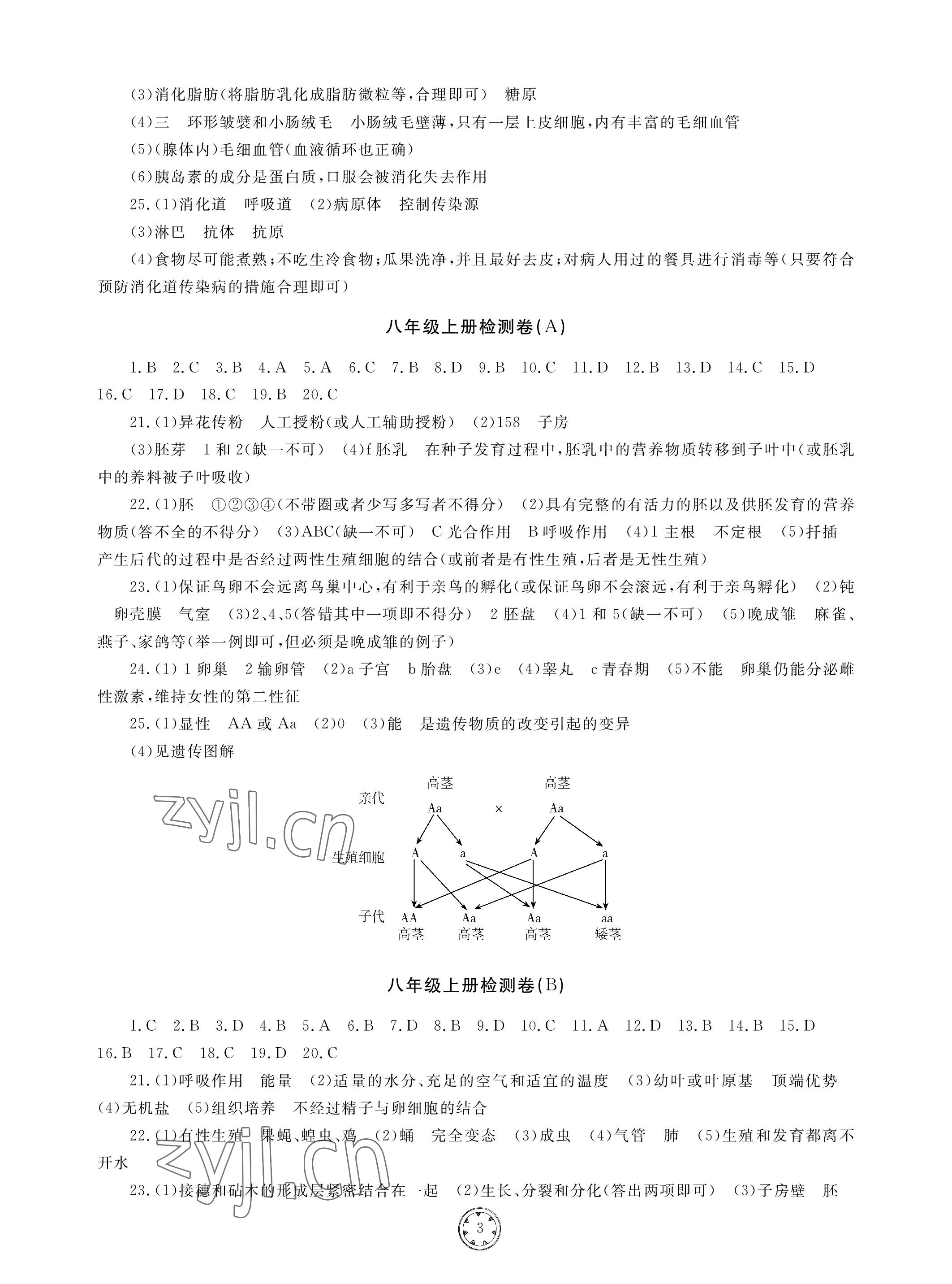 2023年同步练习册分层检测卷生物初中总复习 参考答案第3页