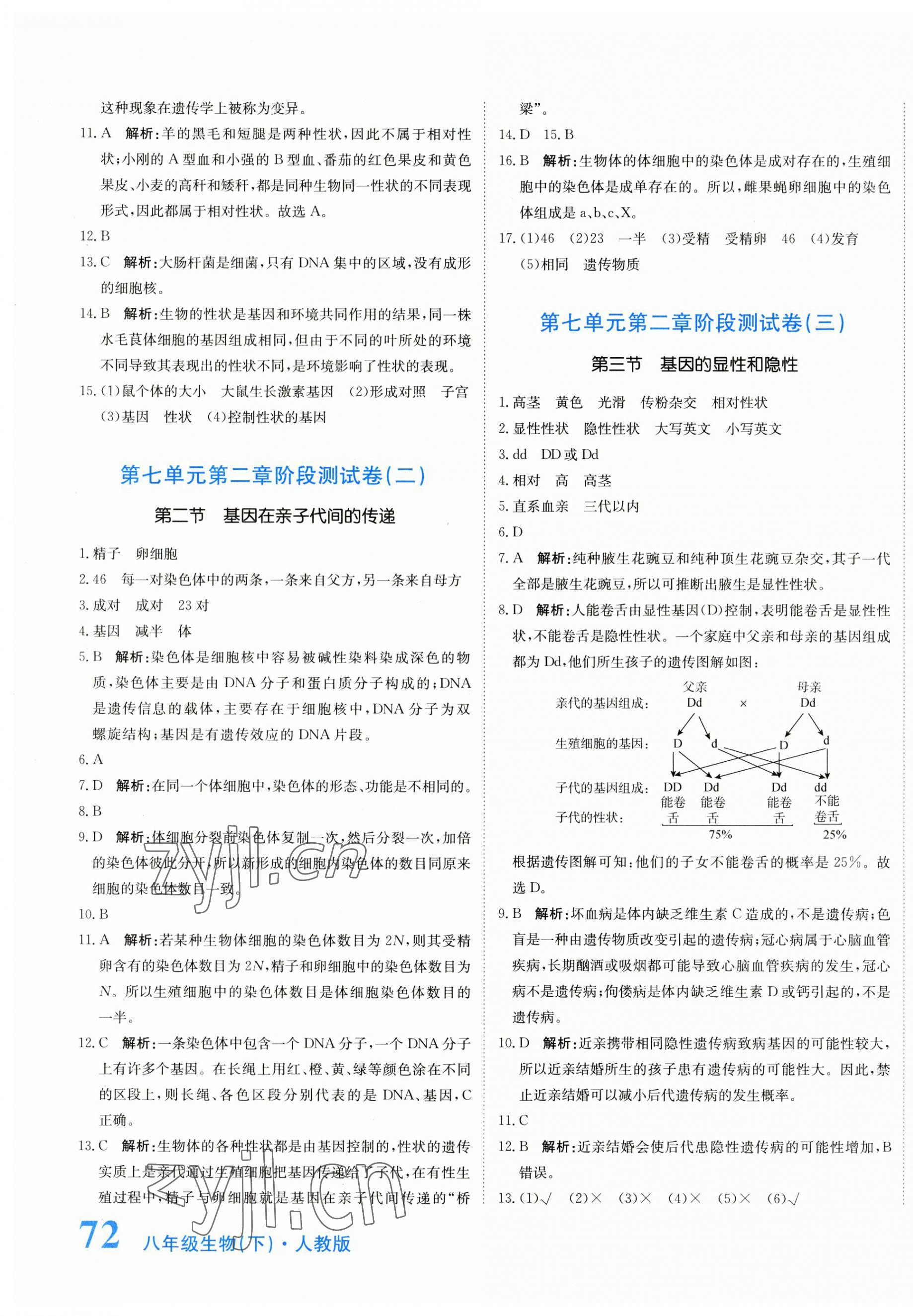 2023年提分教練八年級生物下冊人教版 第3頁