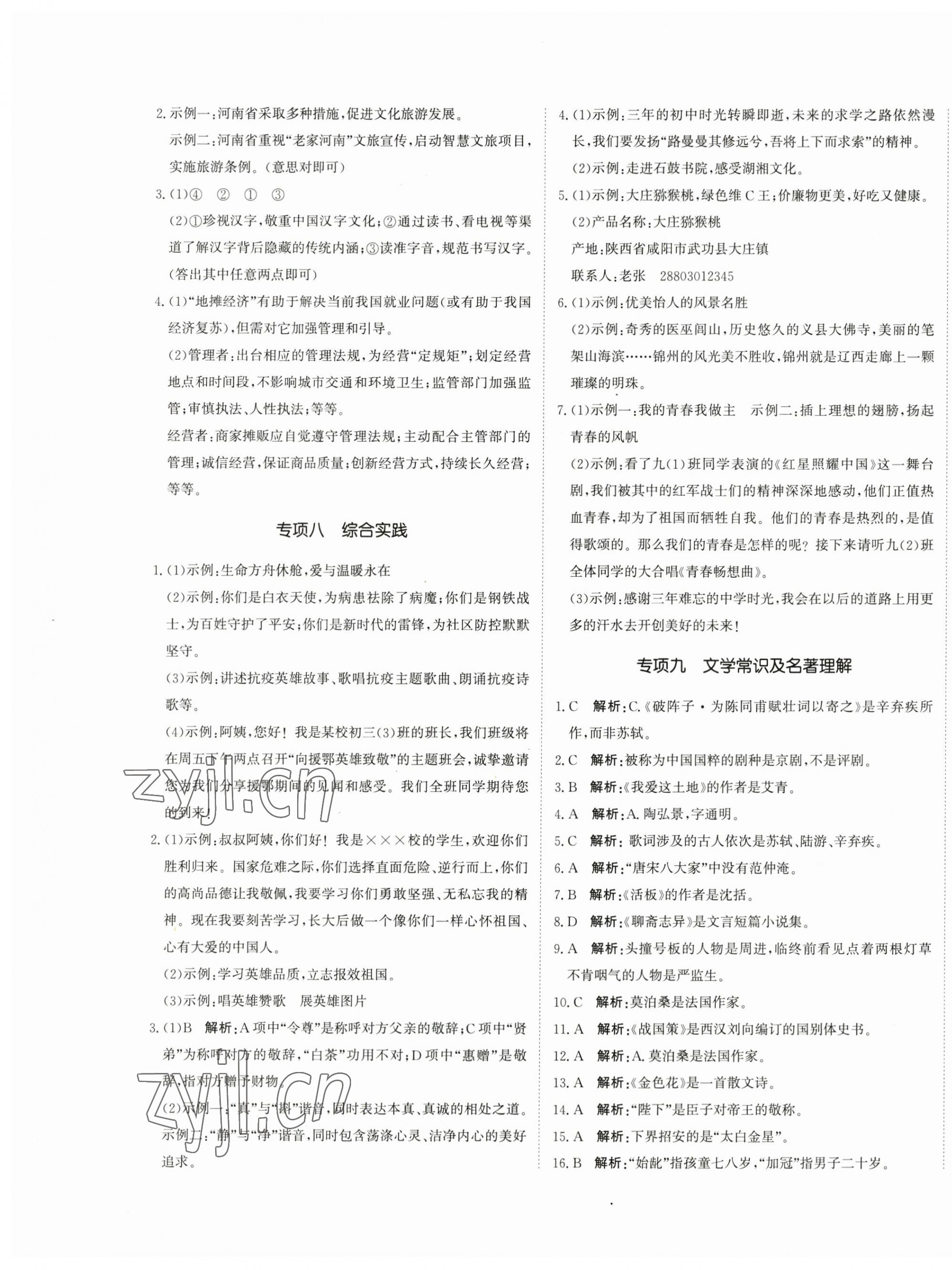 2023年提分教練九年級(jí)語文下冊(cè)人教版 第5頁