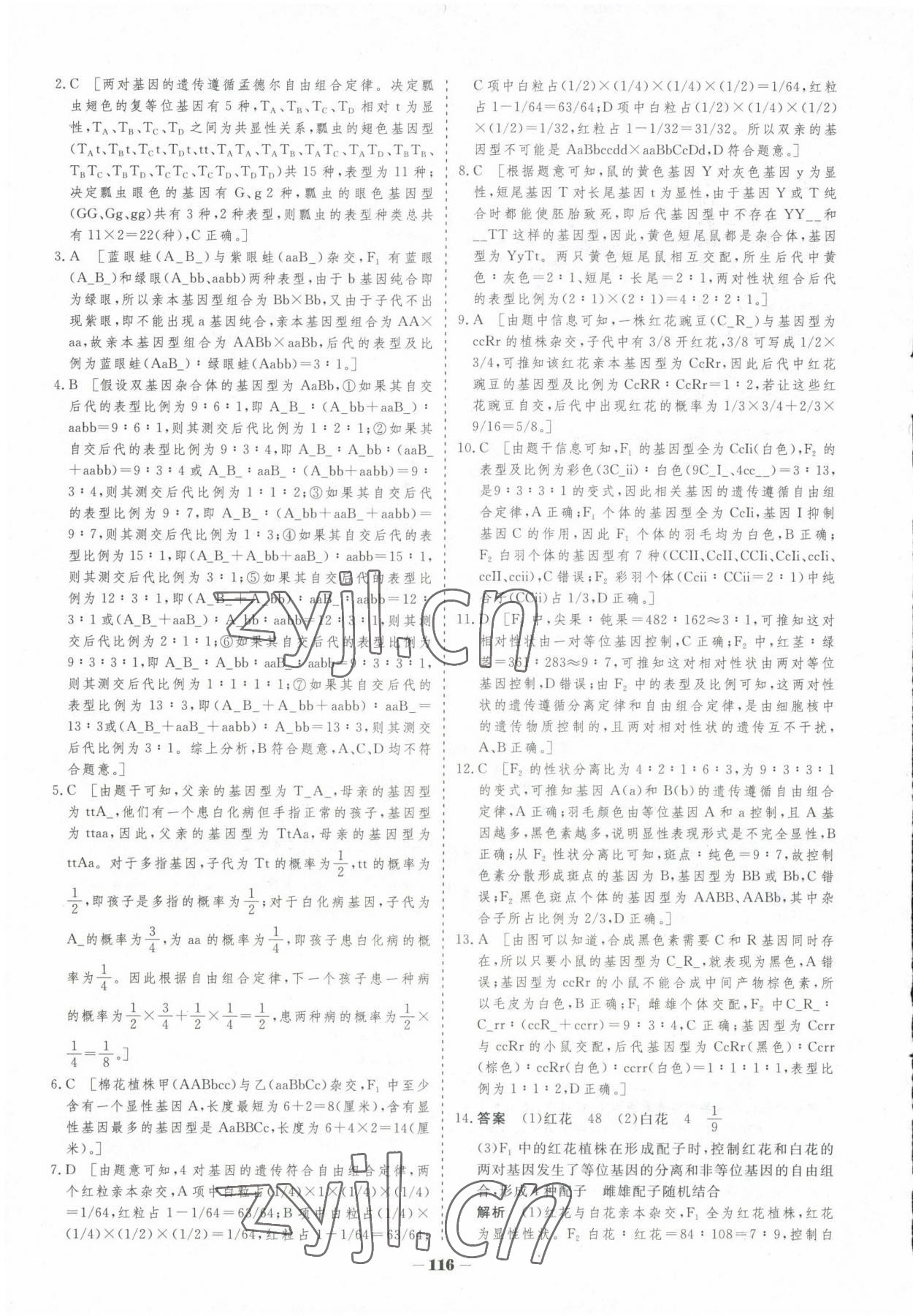 2023年高中新课程学习作业与测评高中生物必修2人教版 参考答案第7页