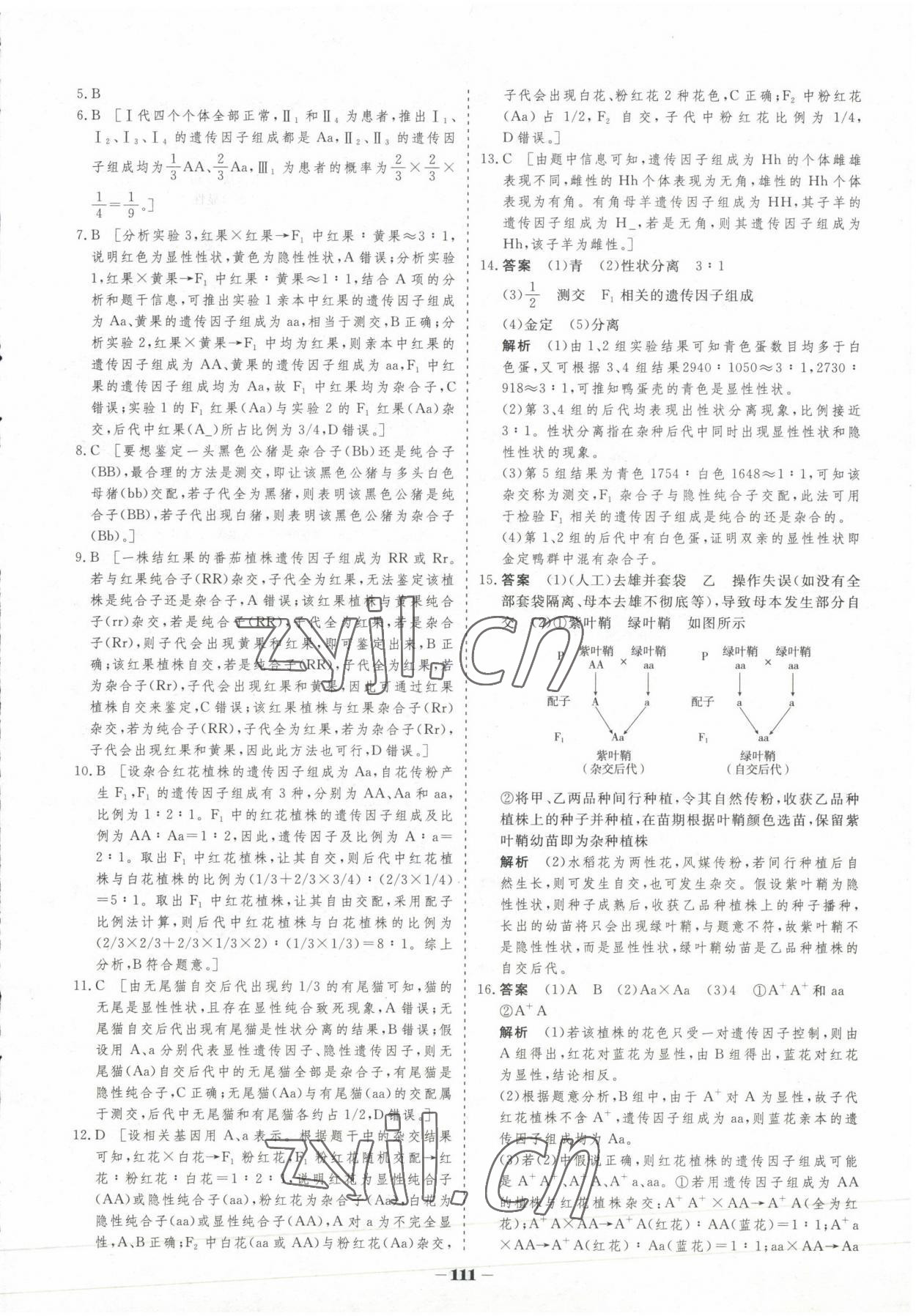 2023年高中新课程学习作业与测评高中生物必修2人教版 参考答案第2页