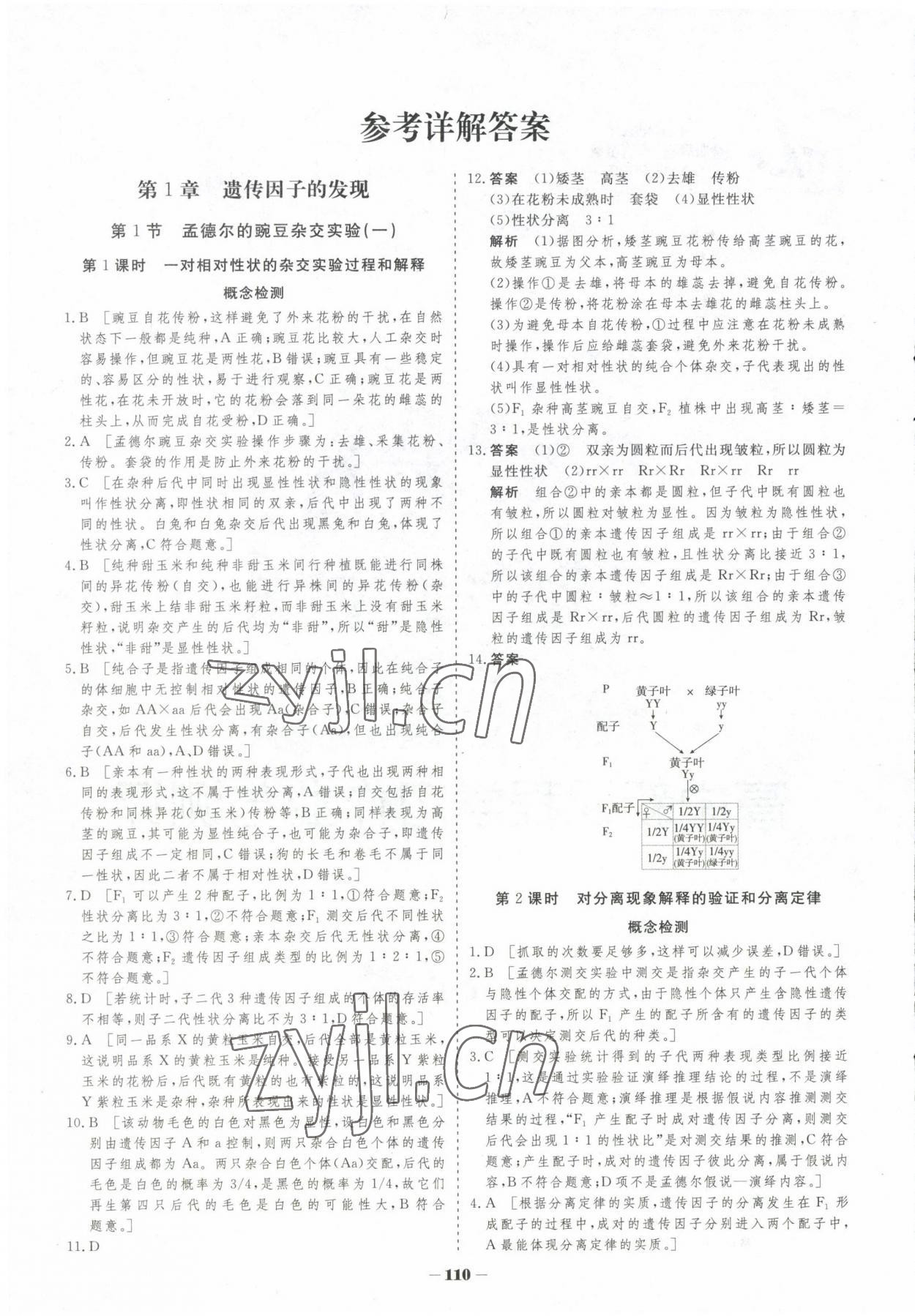 2023年高中新课程学习作业与测评高中生物必修2人教版 参考答案第1页