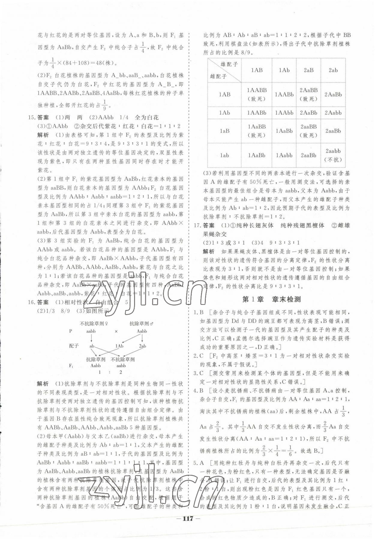 2023年高中新课程学习作业与测评高中生物必修2人教版 参考答案第8页