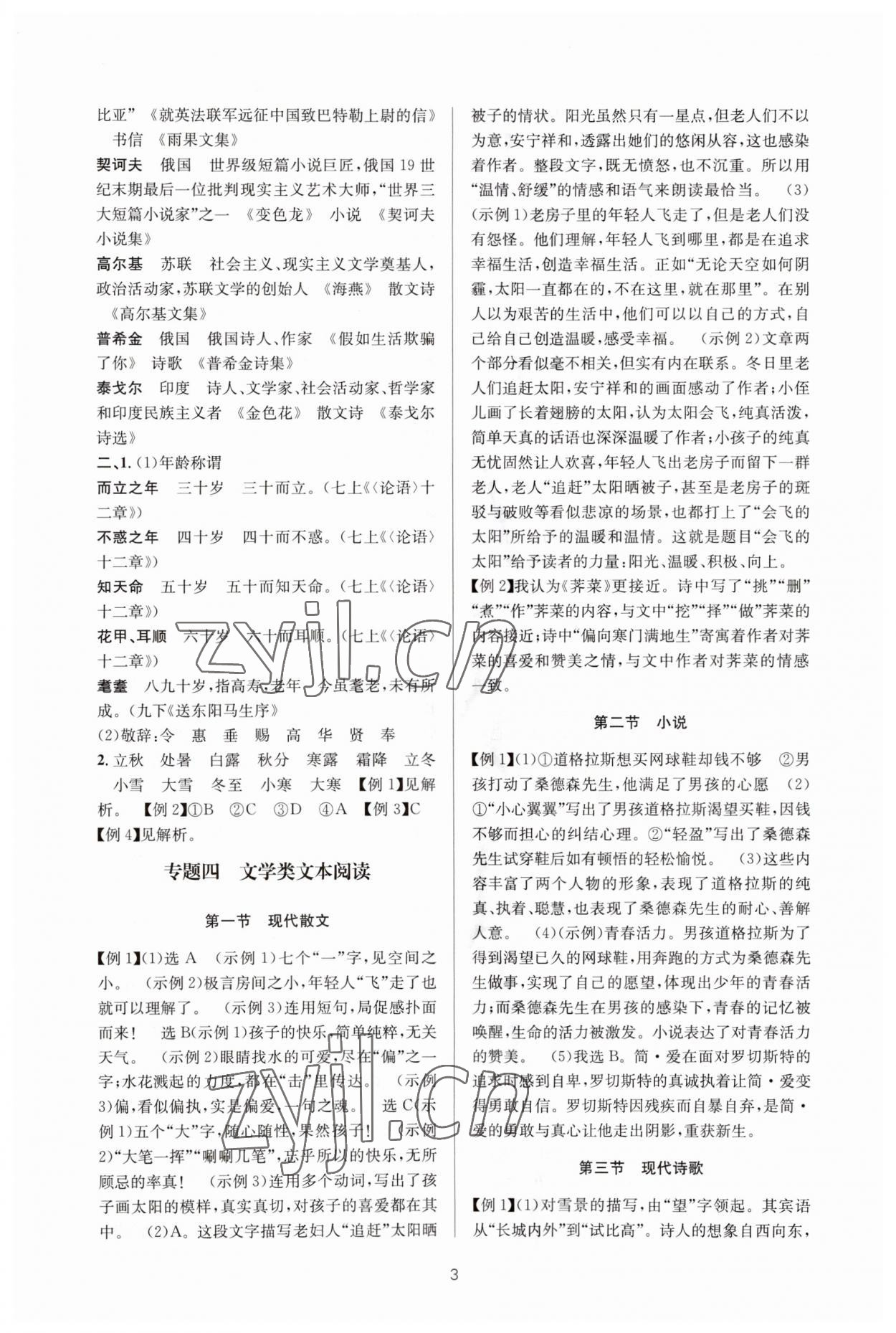 2023年初中学业水平考试总复习语文 第3页