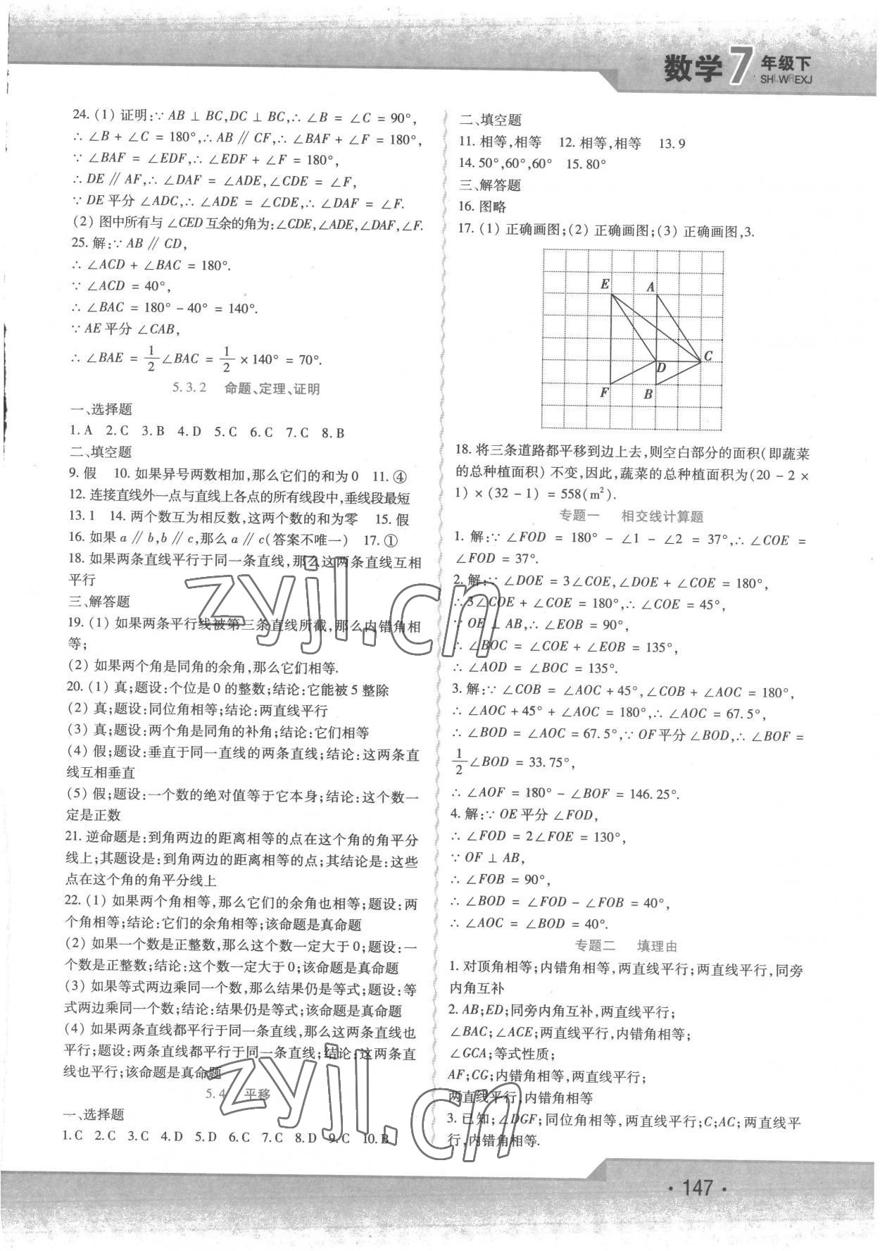 2023年精析巧练七年级数学下册人教版 第3页