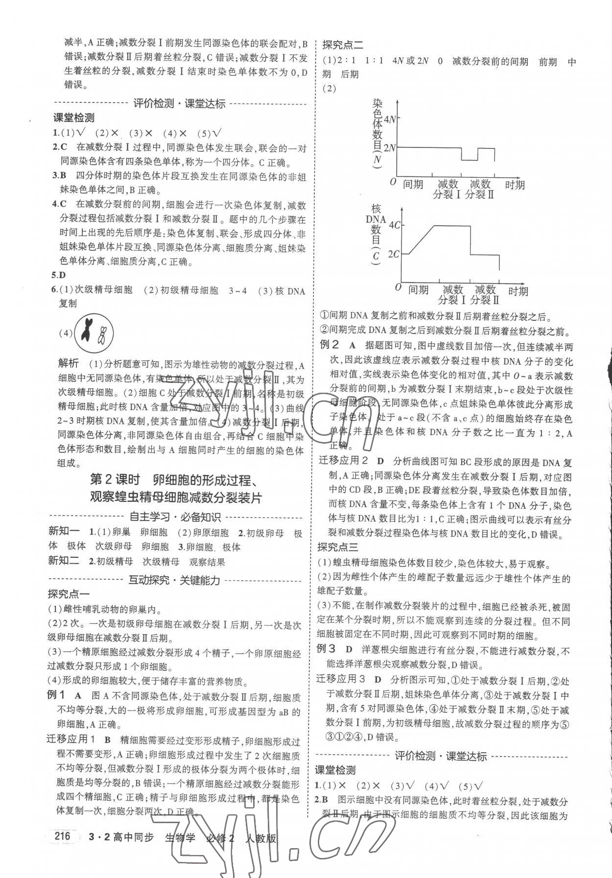 2023年3年高考2年模擬高中生物必修2人教版 第6頁