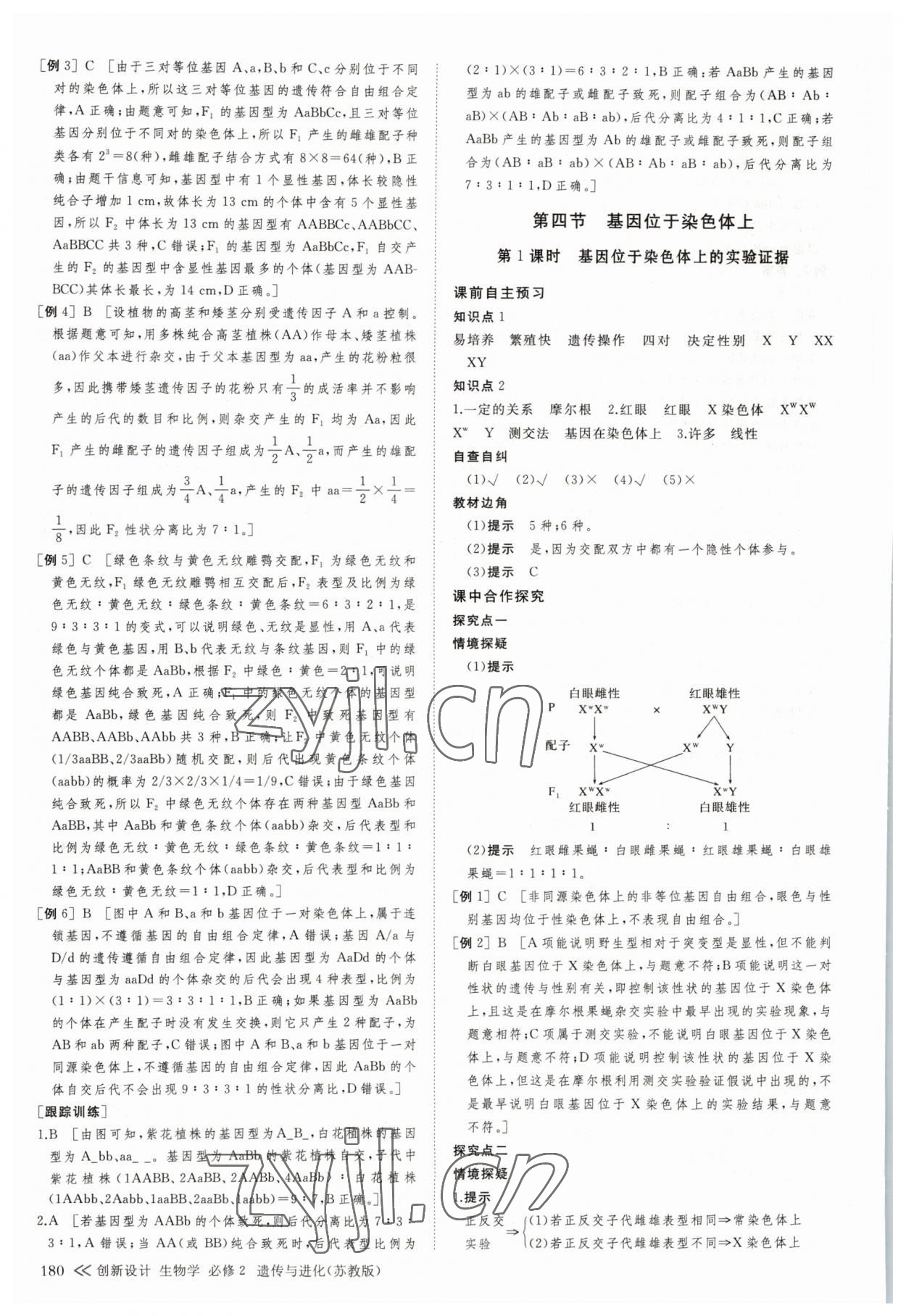 2023年创新设计生物必修2苏教版遗传与进化 参考答案第15页