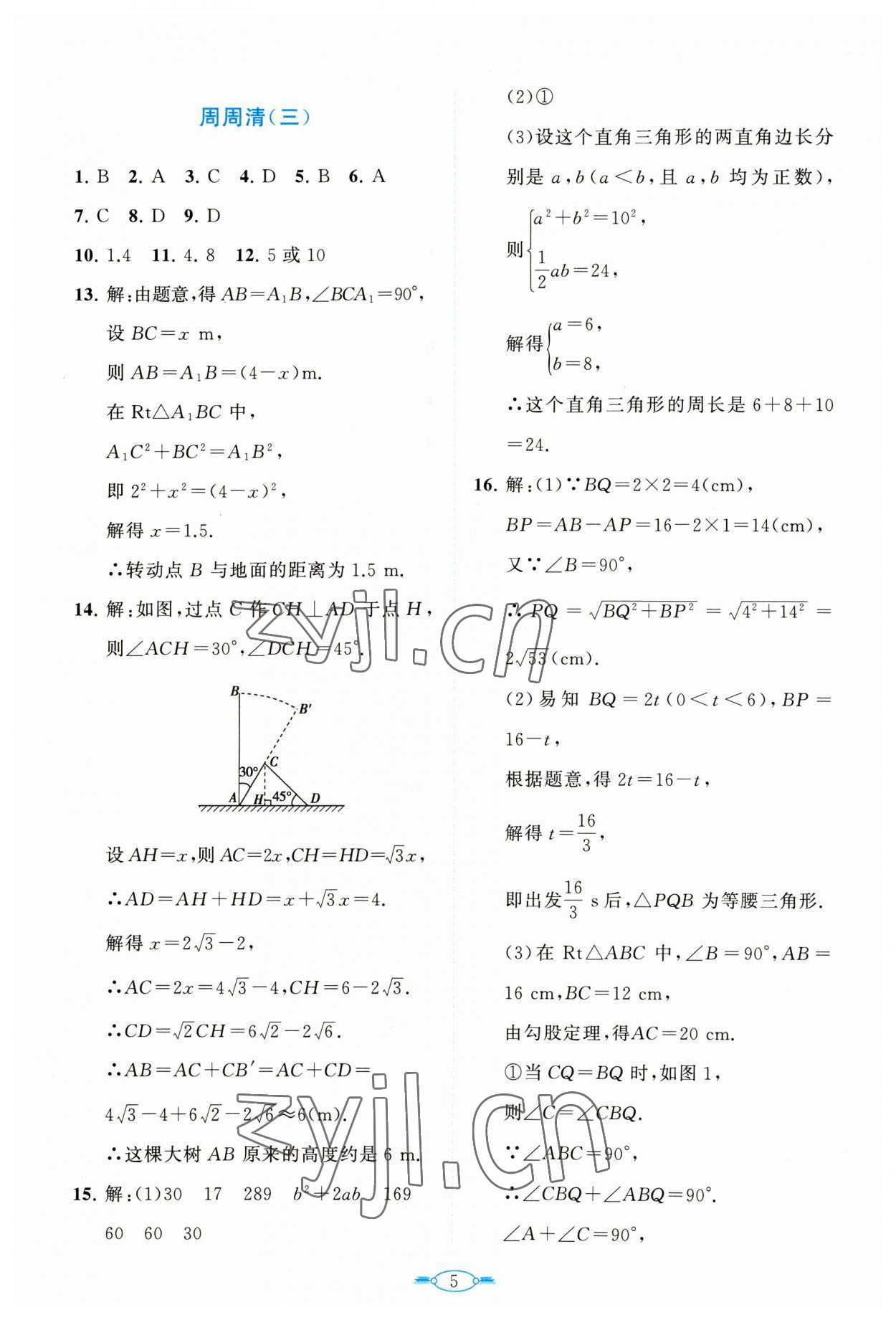 2023年課標(biāo)新卷八年級(jí)數(shù)學(xué)下冊(cè)人教版 第5頁(yè)