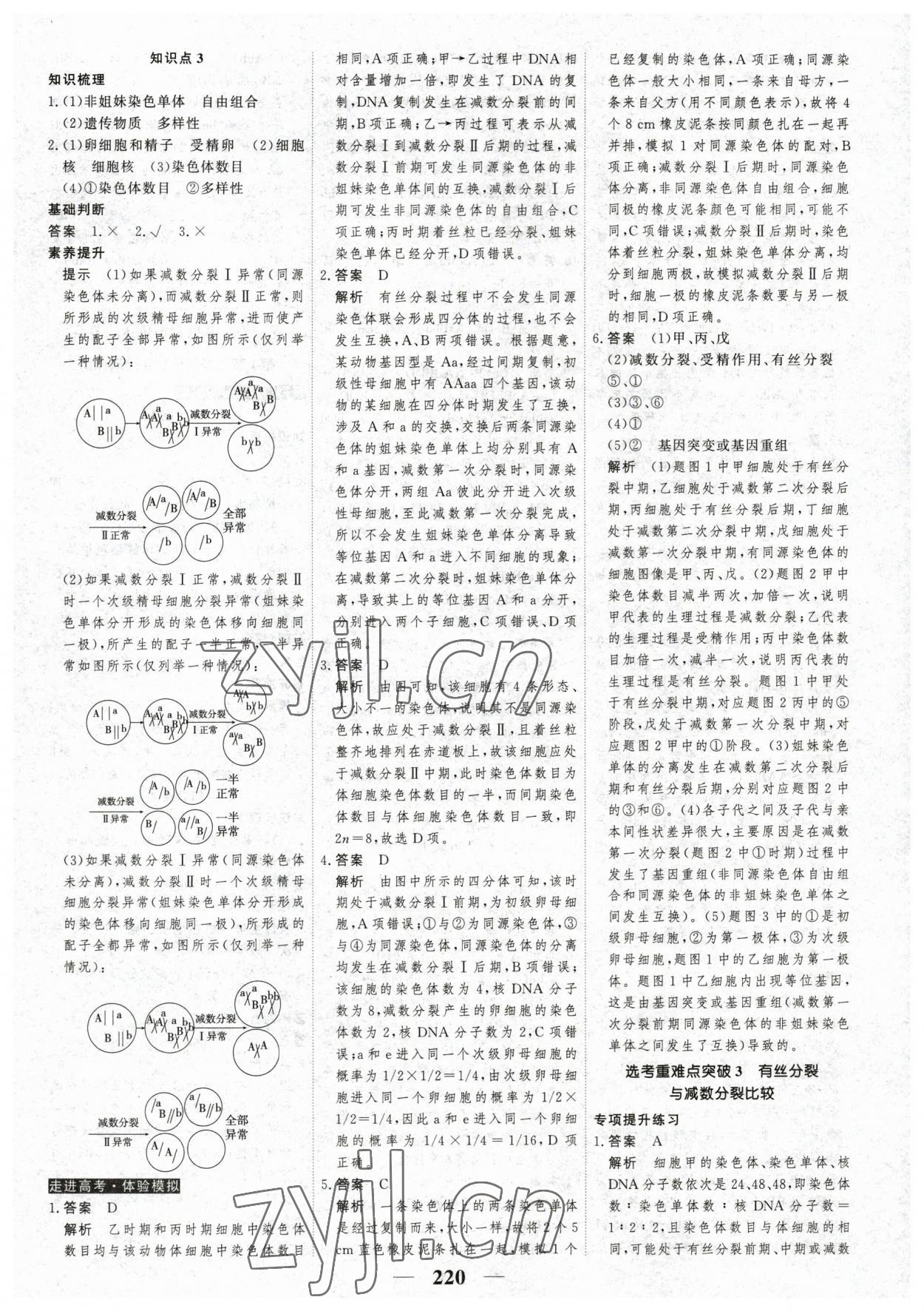 2023年高考调研衡水重点中学新教材同步学案生物必修2人教版 第6页