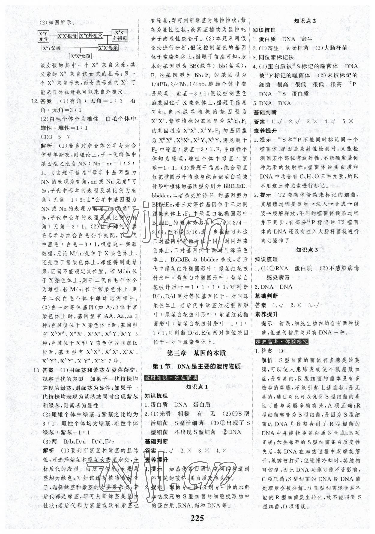 2023年高考调研衡水重点中学新教材同步学案生物必修2人教版 第11页