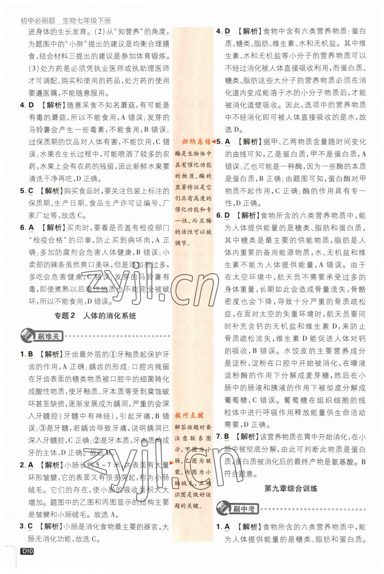 2023年初中必刷題七年級生物下冊蘇教版 參考答案第10頁