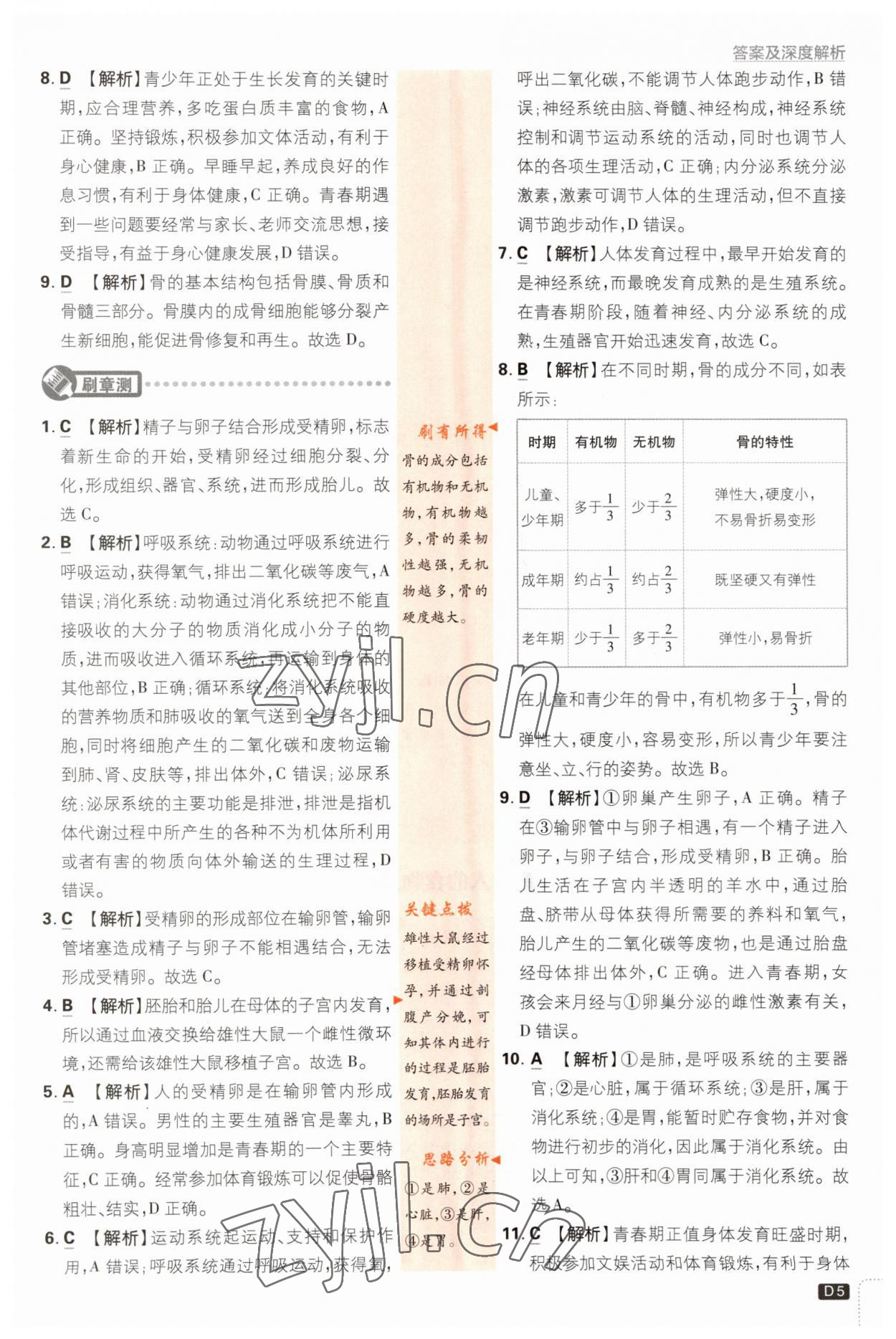 2023年初中必刷題七年級(jí)生物下冊(cè)蘇教版 參考答案第5頁