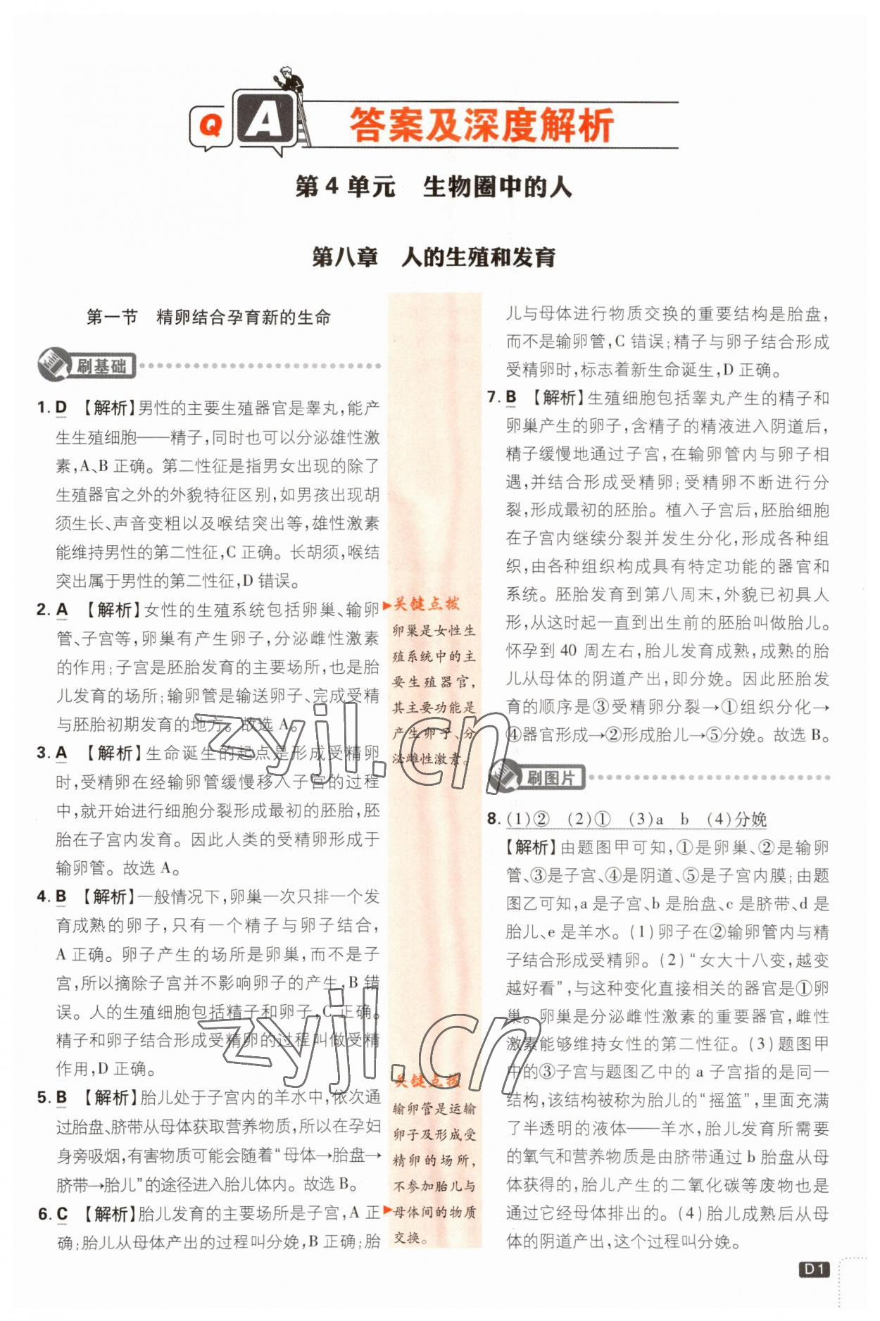 2023年初中必刷題七年級生物下冊蘇教版 參考答案第1頁