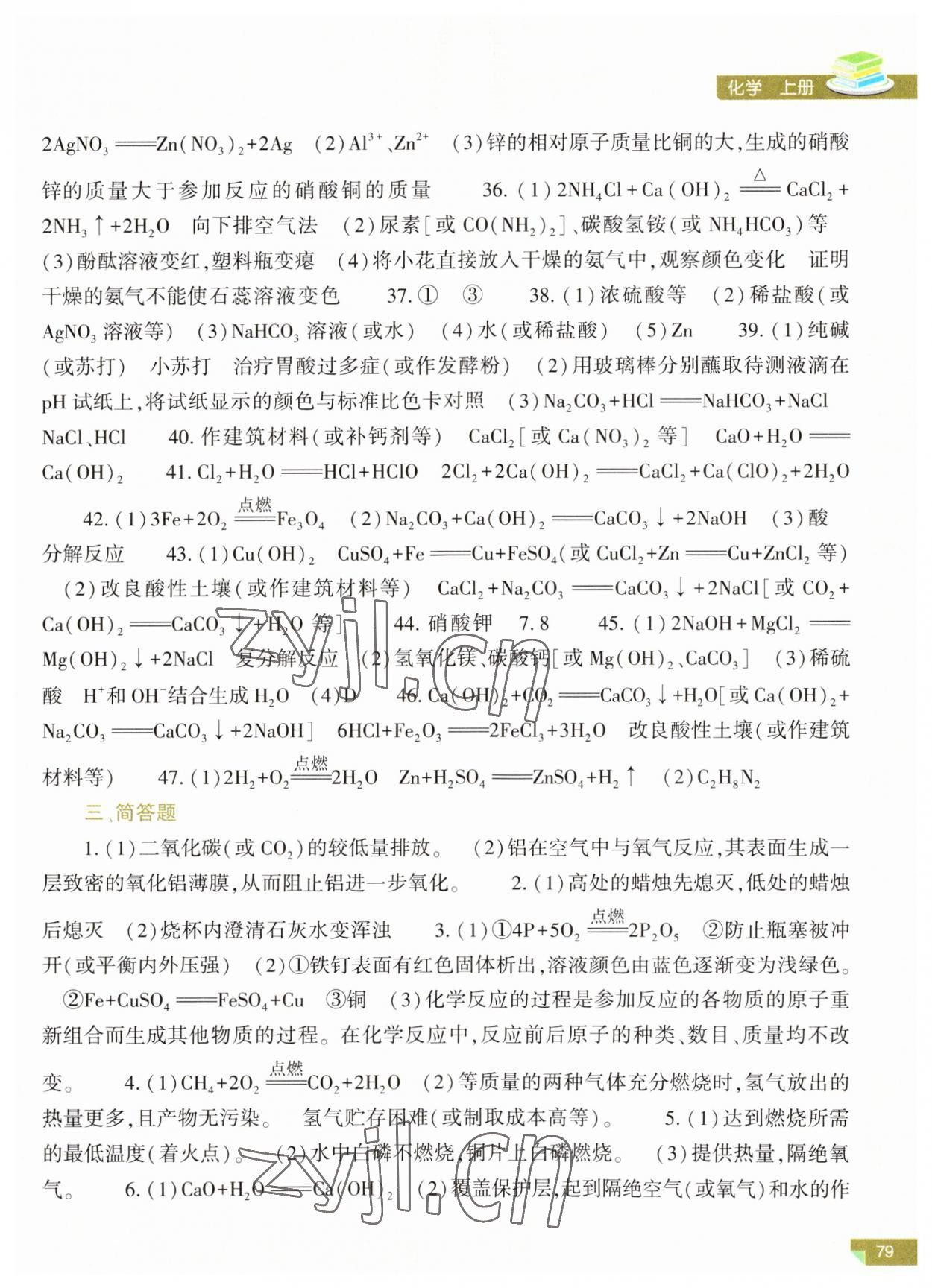 2023年河南省初中学业水平考试解析与检测化学上册 第3页