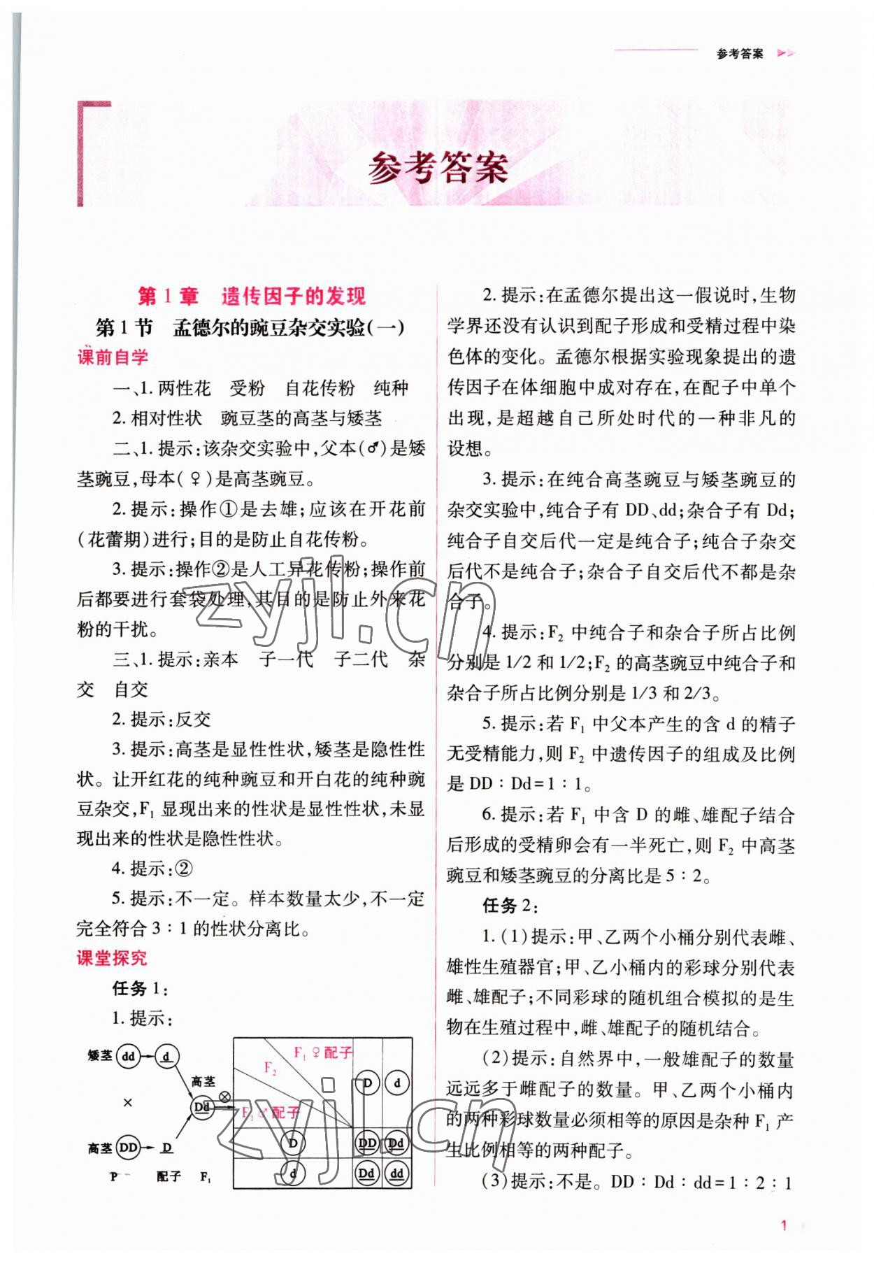 2023年普通高中新课程同步练习册高中生物必修2人教版 参考答案第1页