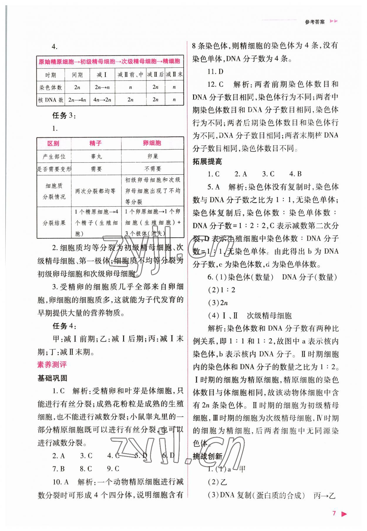 2023年普通高中新課程同步練習(xí)冊高中生物必修2人教版 參考答案第7頁