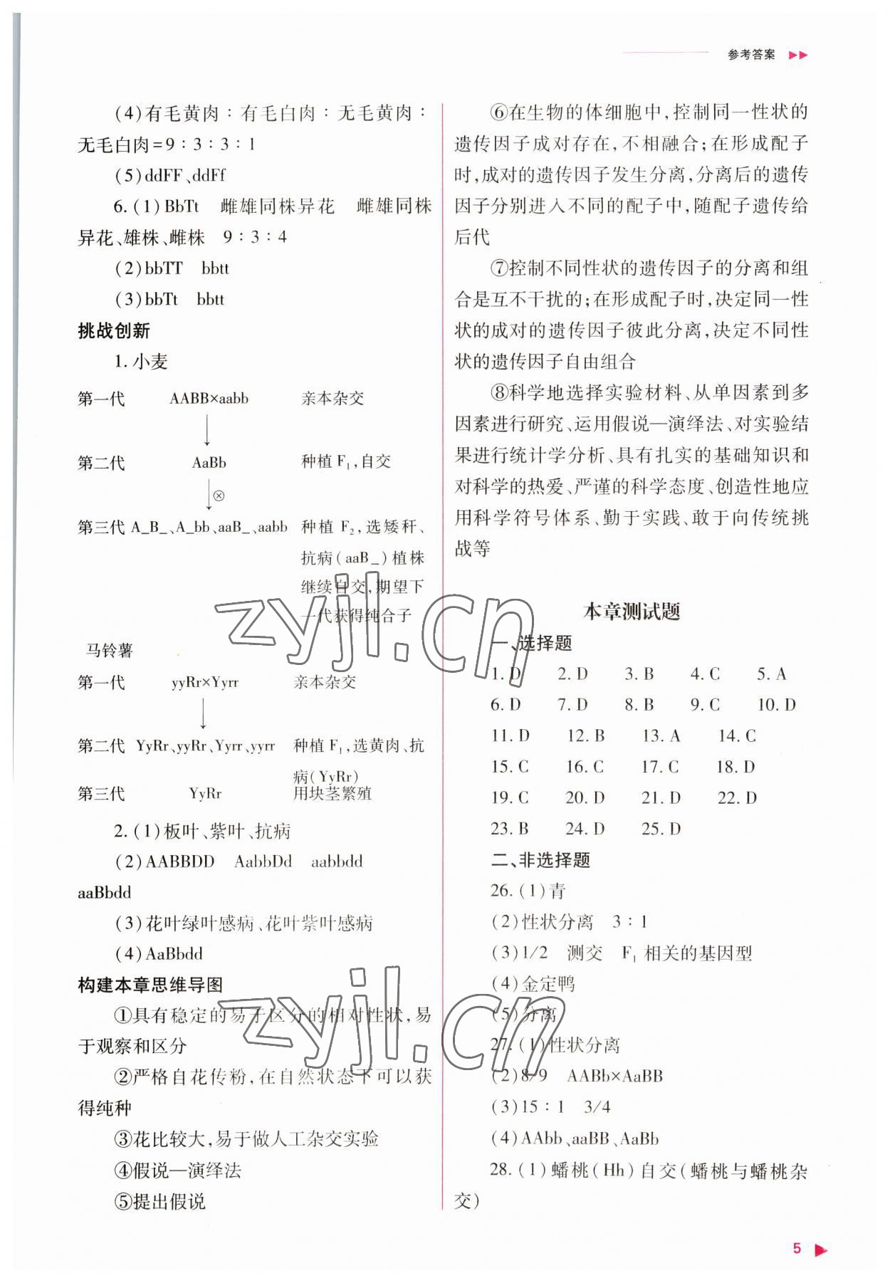 2023年普通高中新課程同步練習(xí)冊(cè)高中生物必修2人教版 參考答案第5頁