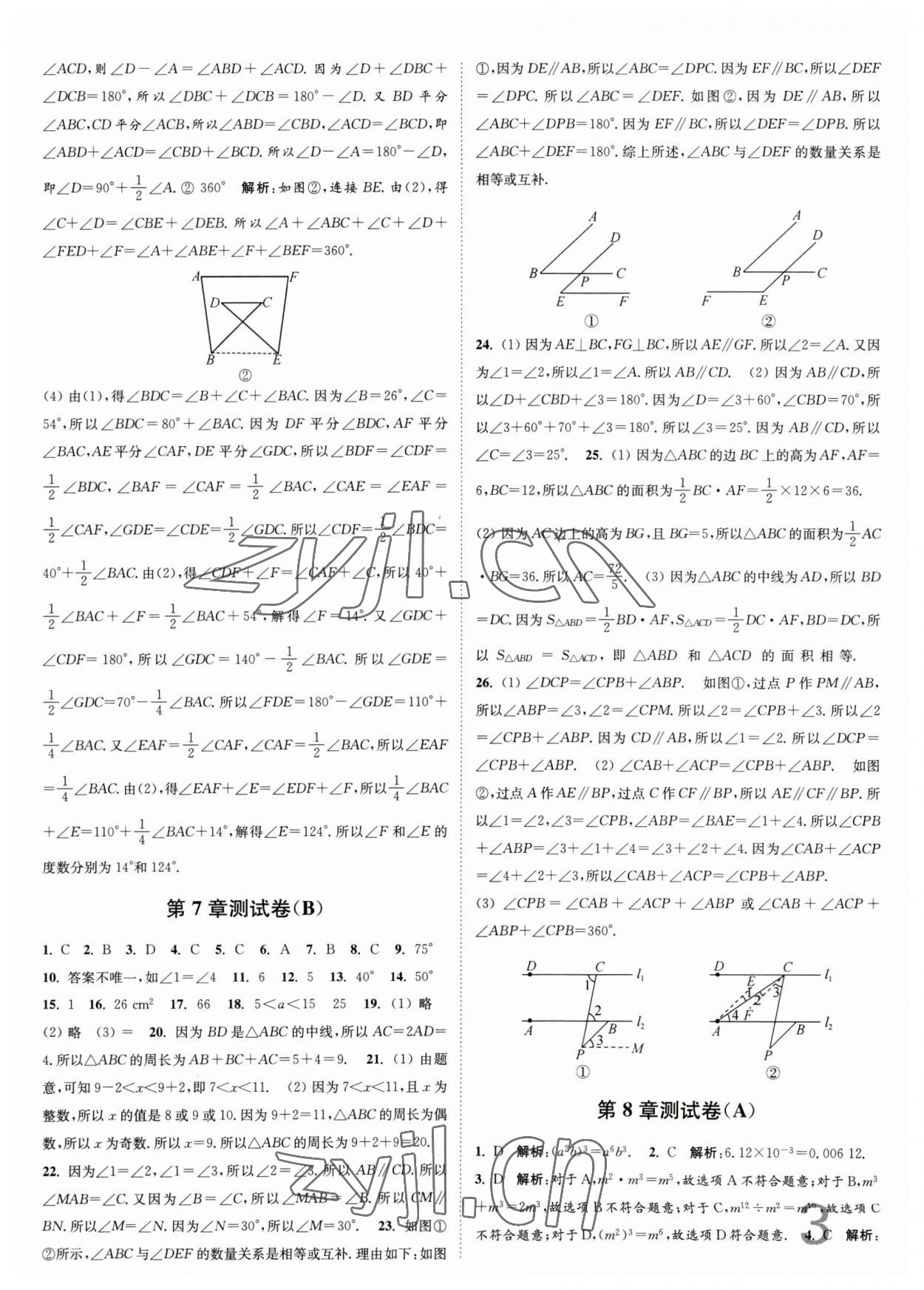 2023年江苏密卷七年级数学下册江苏版 第3页