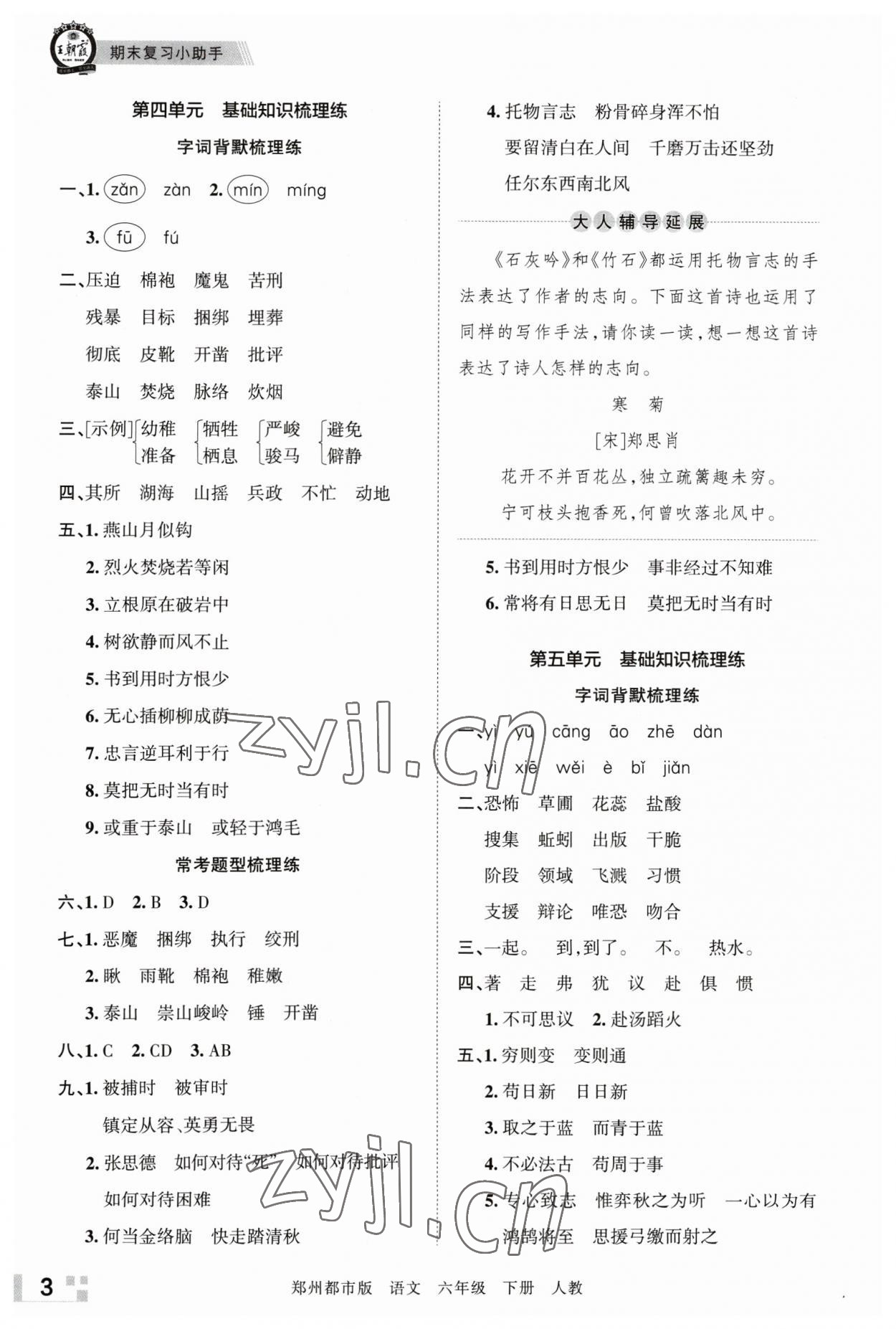 2023年王朝霞期末真题精编六年级语文下册人教版郑州专版 参考答案第3页