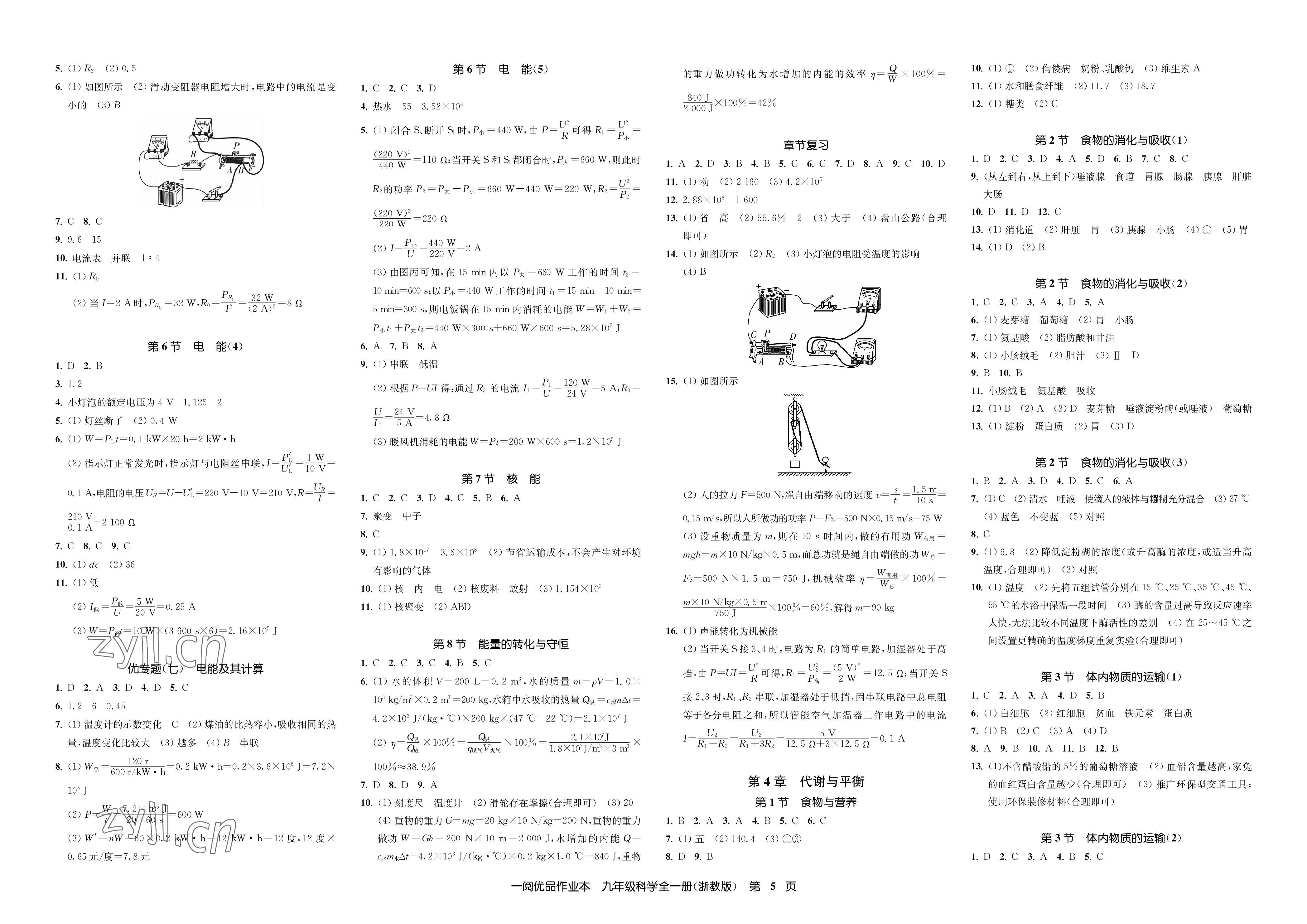 2023年一閱優(yōu)品作業(yè)本九年級科學(xué)全一冊浙教版 參考答案第5頁