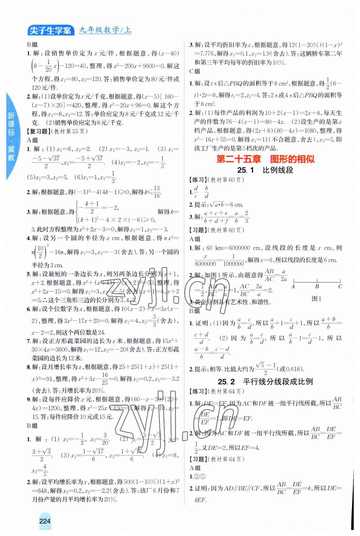 2023年尖子生学案九年级数学上册冀教版 第6页